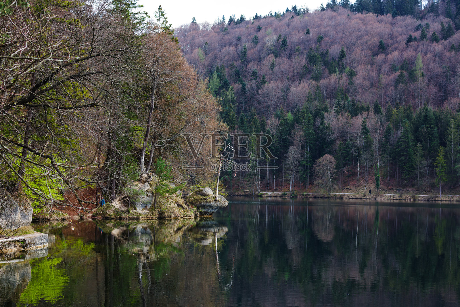 宁静的赫赫特湖映照着周围的树木和早春的风景照片摄影图片
