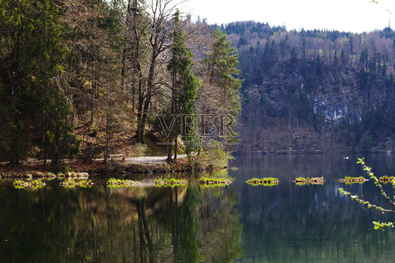 宁静的赫赫特湖映照着库夫施泰因的森林和天空照片摄影图片