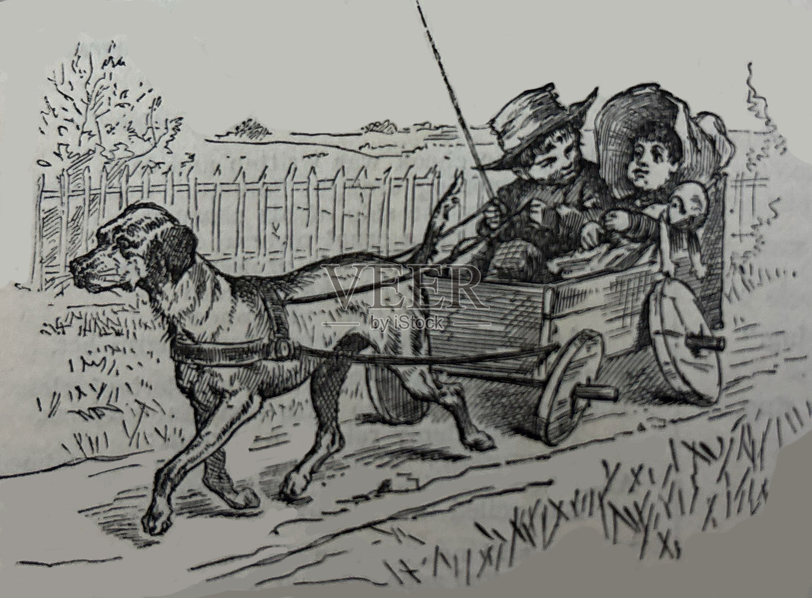 古老插图 - 狗拉着小孩在车里插画图片素材