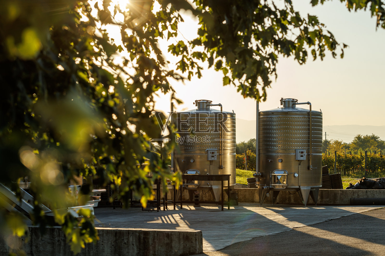 葡萄园中的不锈钢葡萄酒发酵罐。照片摄影图片