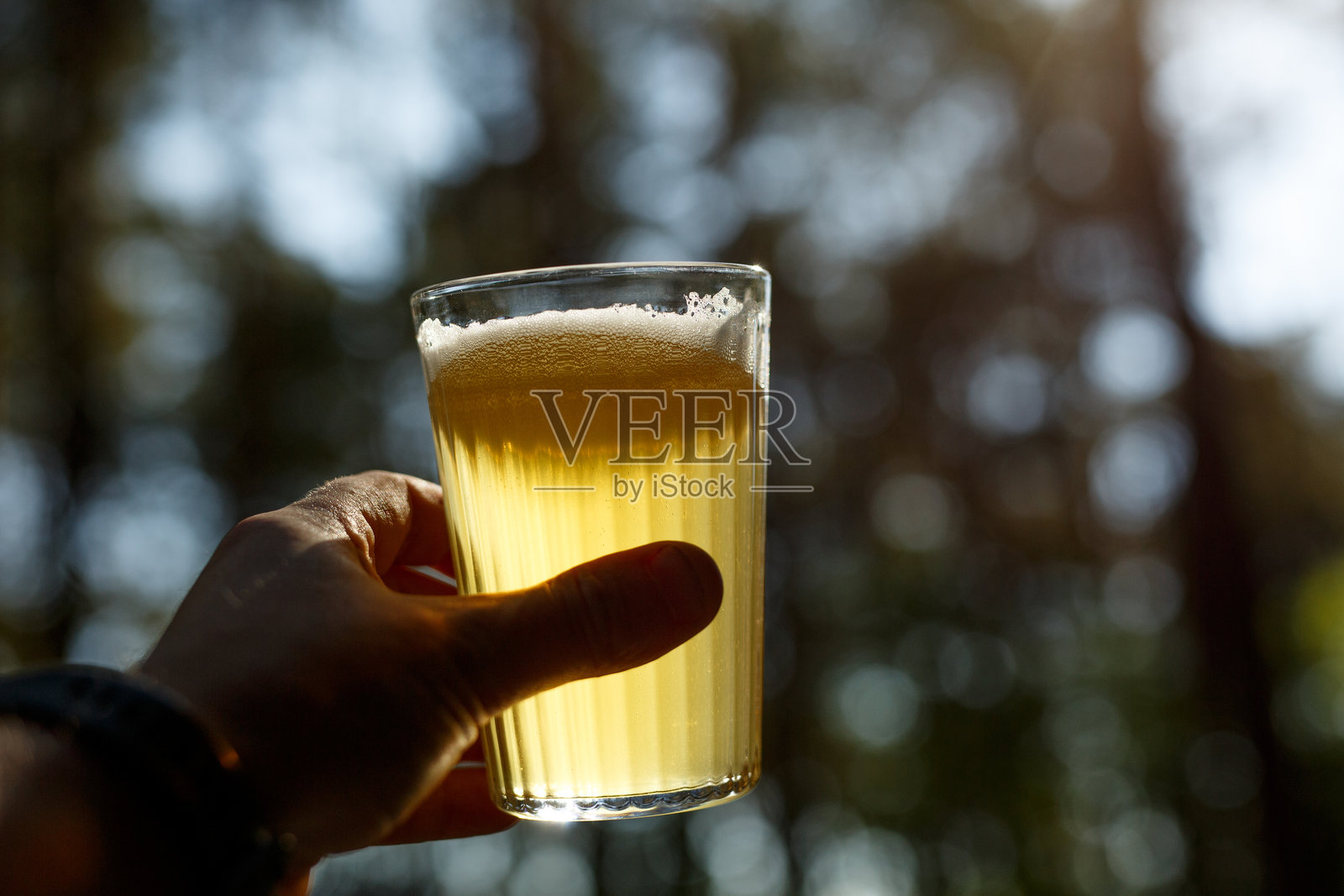 手握一杯啤酒的特写，背景是阳光照耀的森林。照片摄影图片