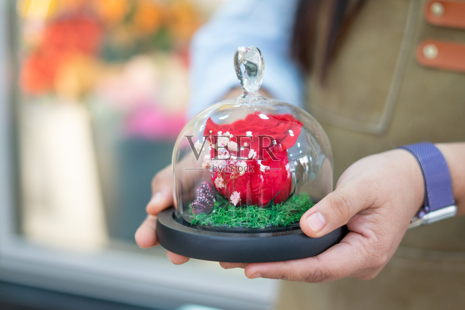 花店老板手持玻璃罩中的保鲜红玫瑰照片摄影图片