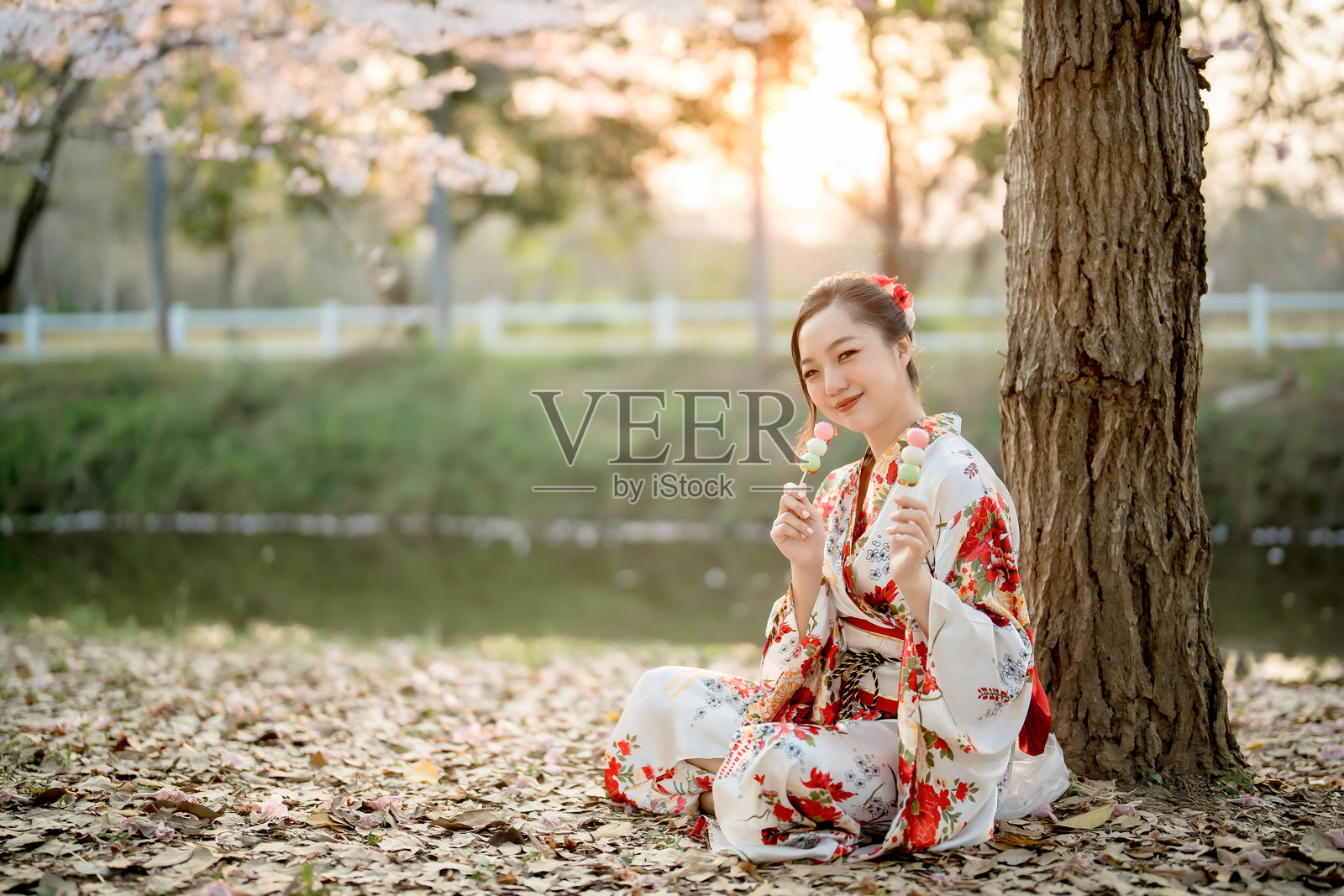 微笑的亚洲女性穿着传统花卉和服，坐在河边的樱花树下，手里拿着五彩缤纷的日本团子串，春天的日落时分。照片摄影图片