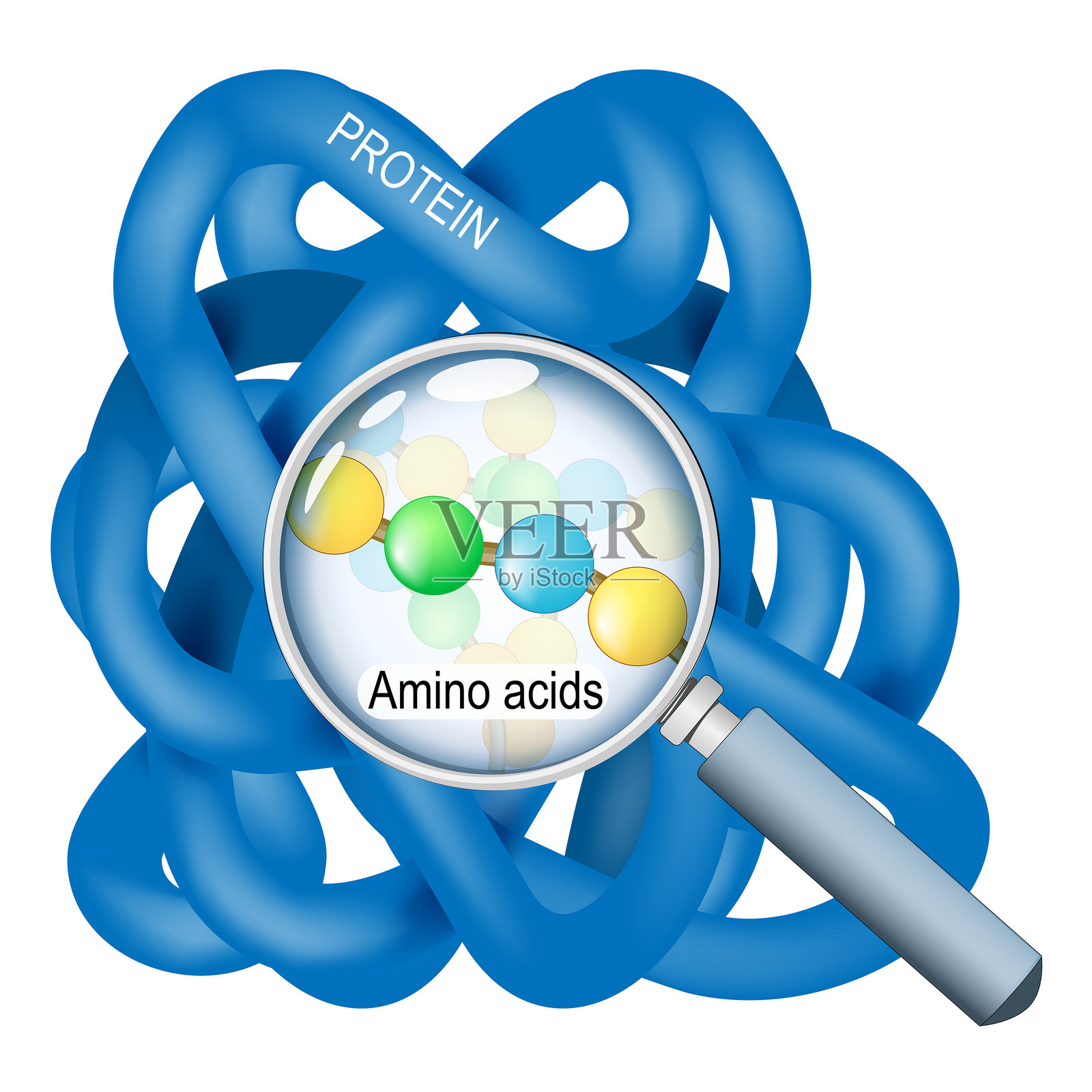 蛋白质分子及氨基酸链的特写图像插画图片素材