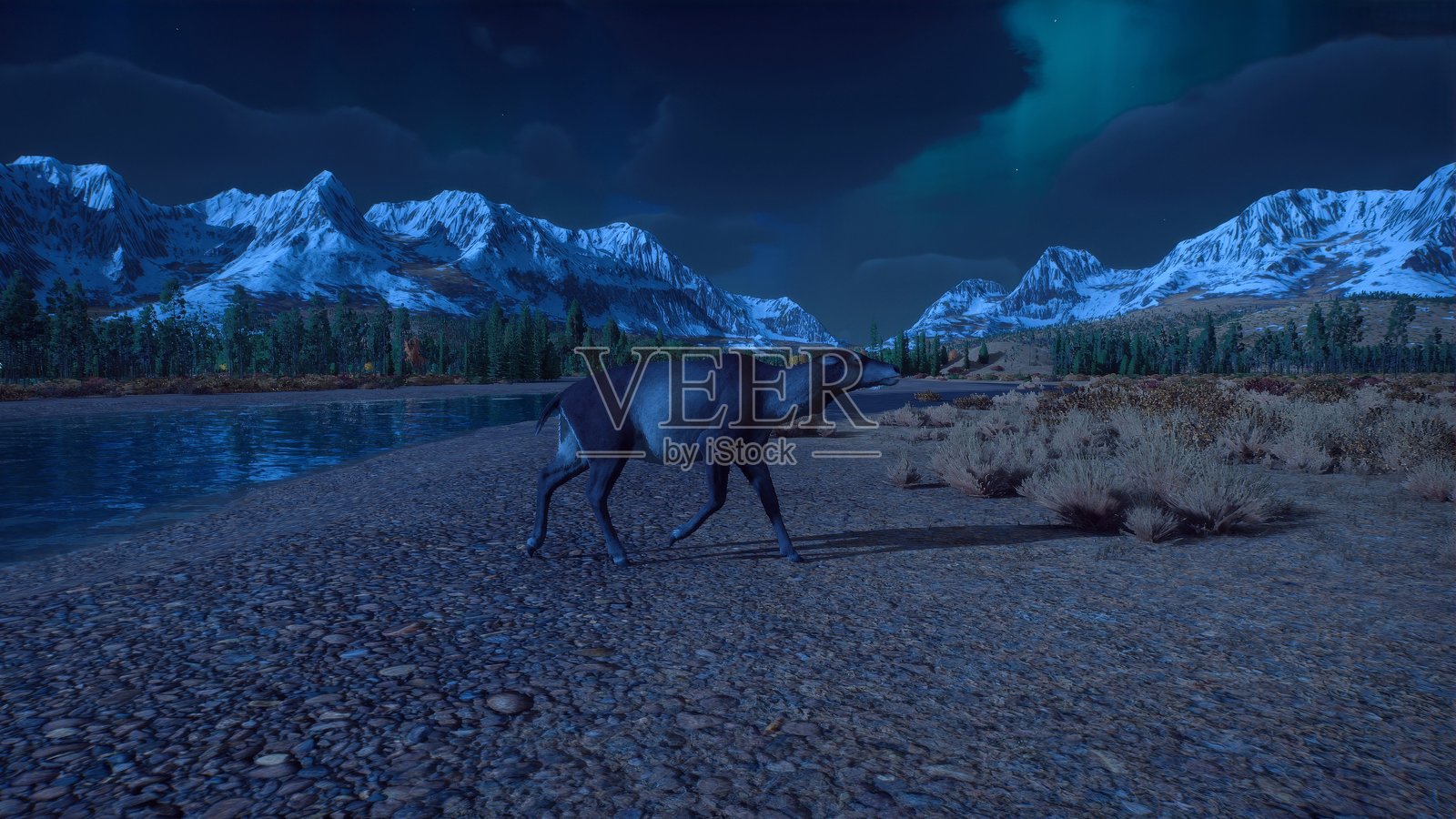 巨角鹿 (Megaloceros giganteus)照片摄影图片