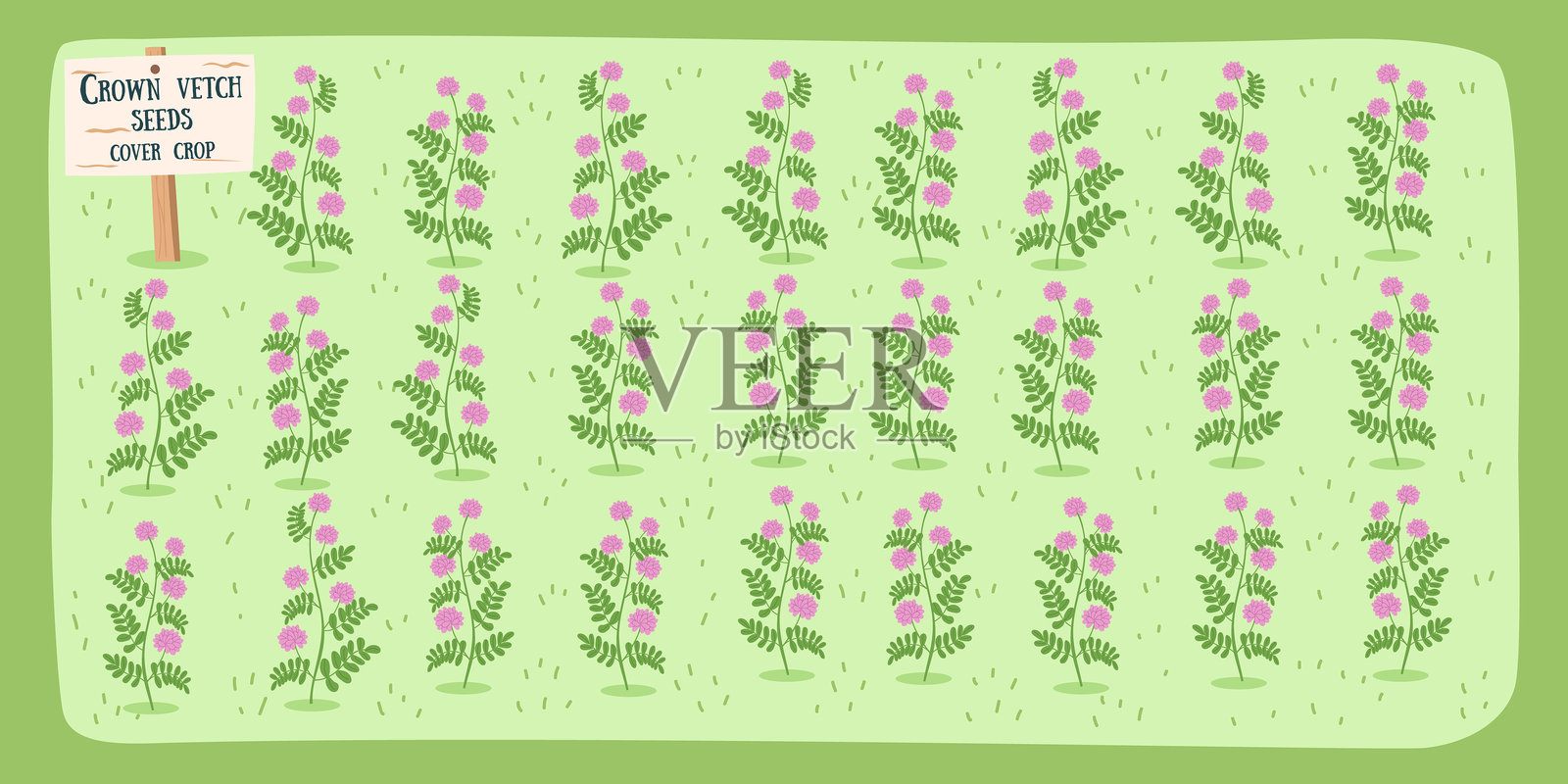 冠状苜蓿种子背景插画图片素材
