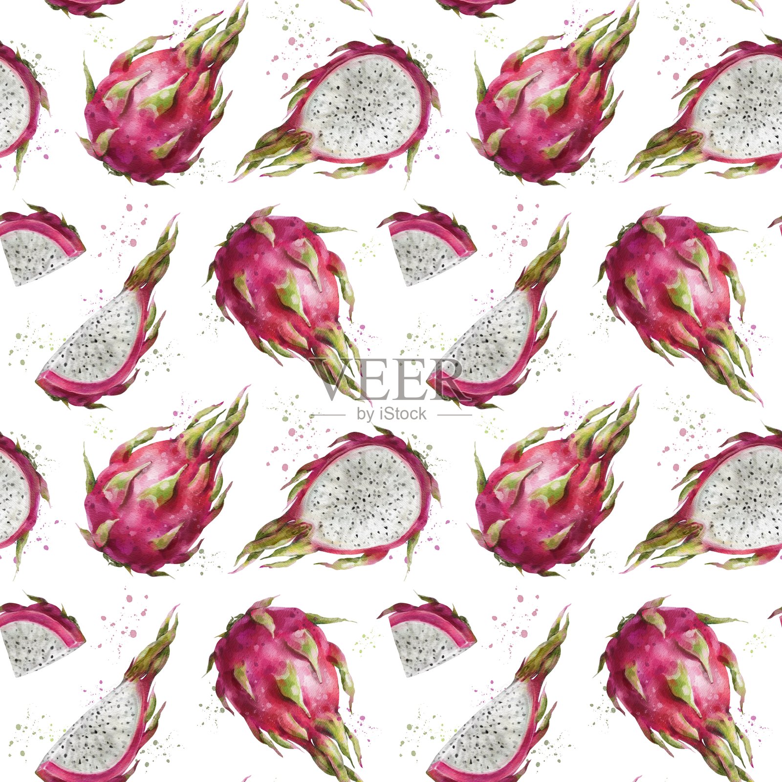 无缝图案，水彩粉色火龙果。白色背景上的火龙果。插画图片素材