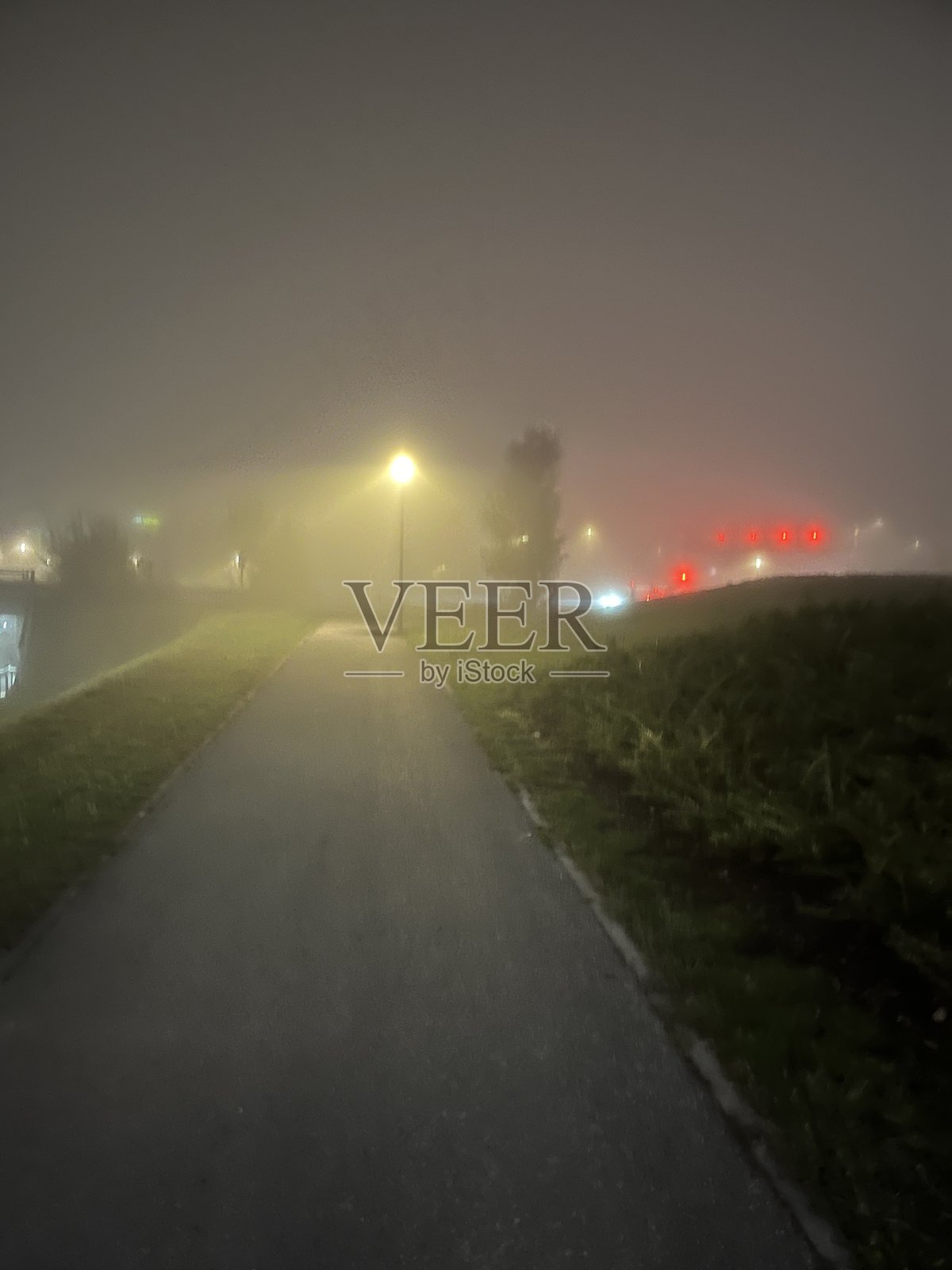 雾中的森林照片摄影图片