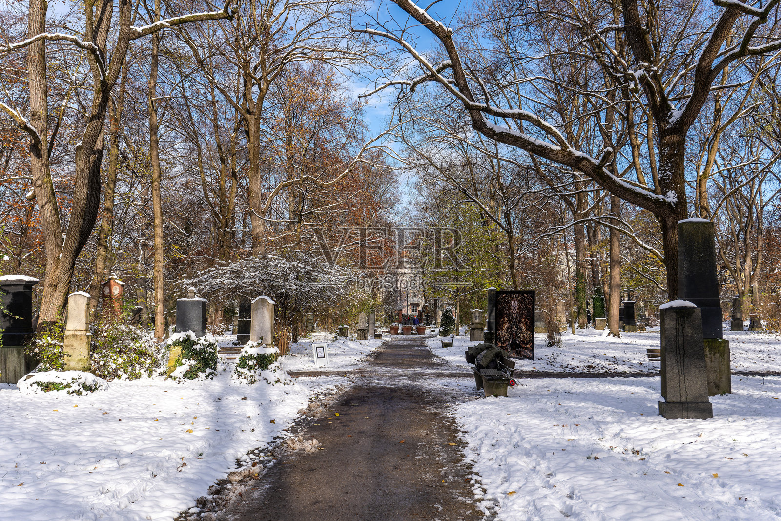德国慕尼黑著名的老北墓地冬季景观，历史悠久的墓碑。照片摄影图片