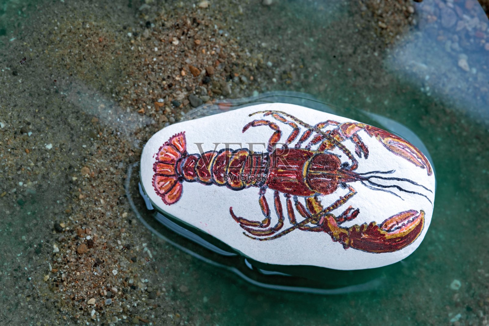 自然水域中的活龙虾彩绘岩石照片摄影图片