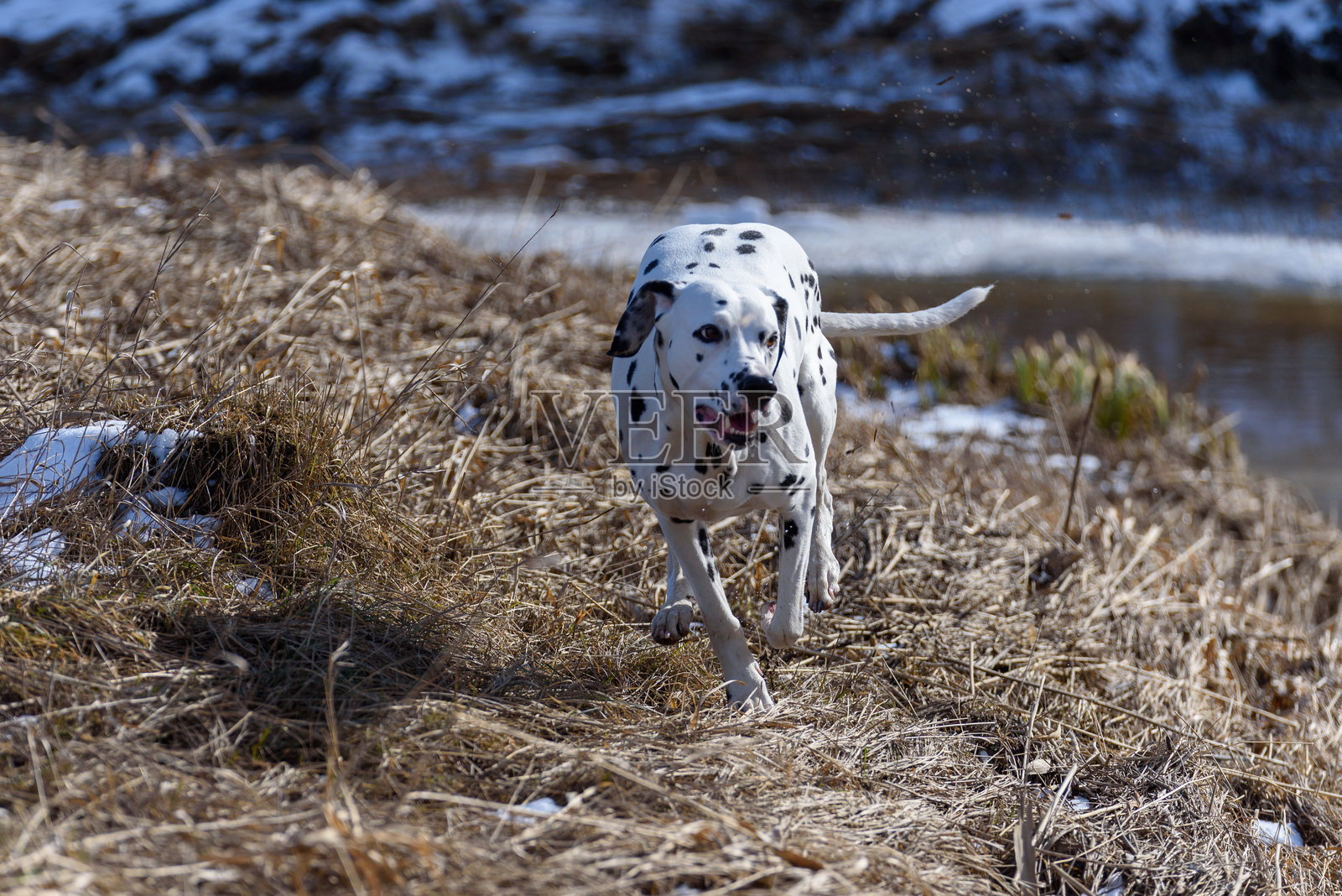 Stelton Lontoonrae照片摄影图片