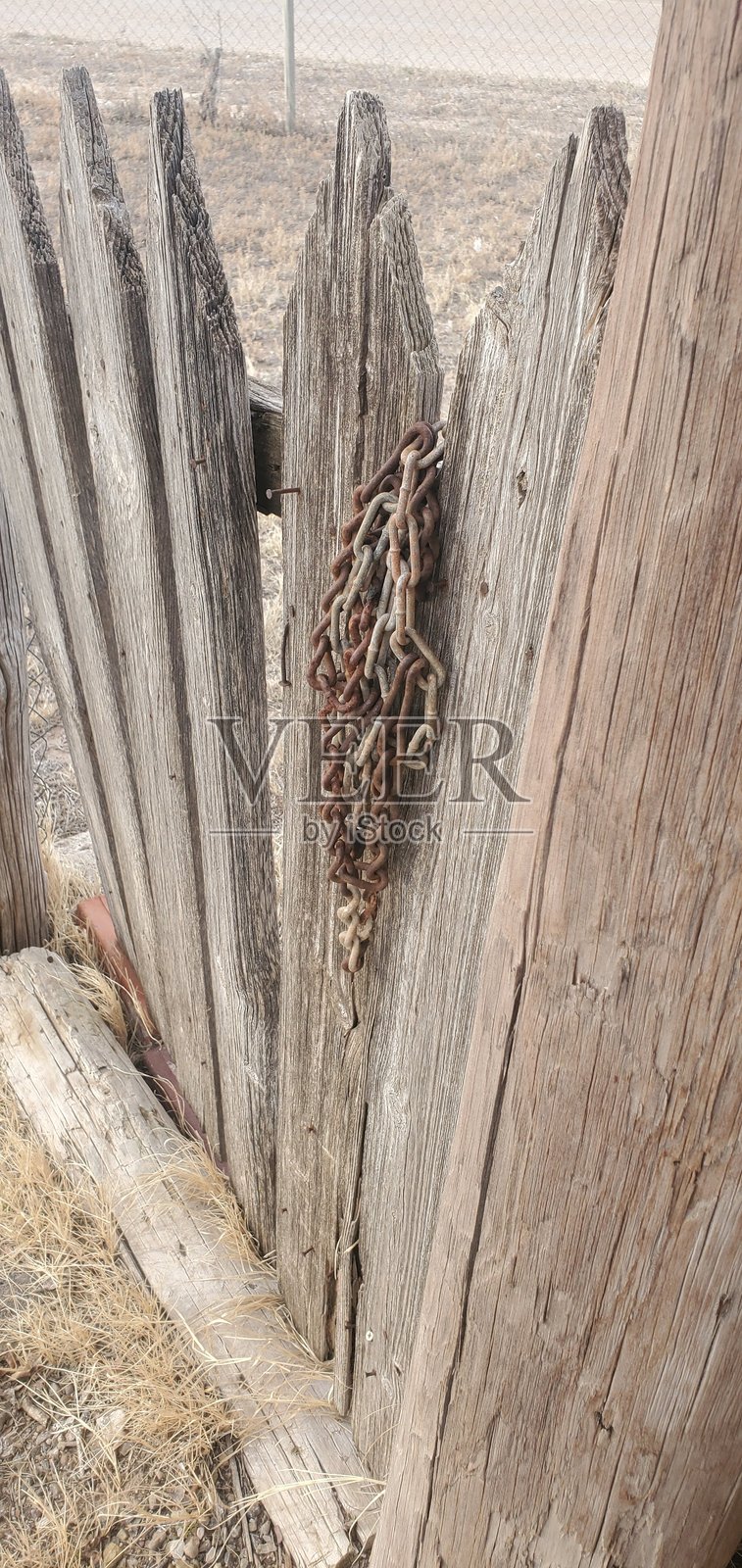 COG照片摄影图片