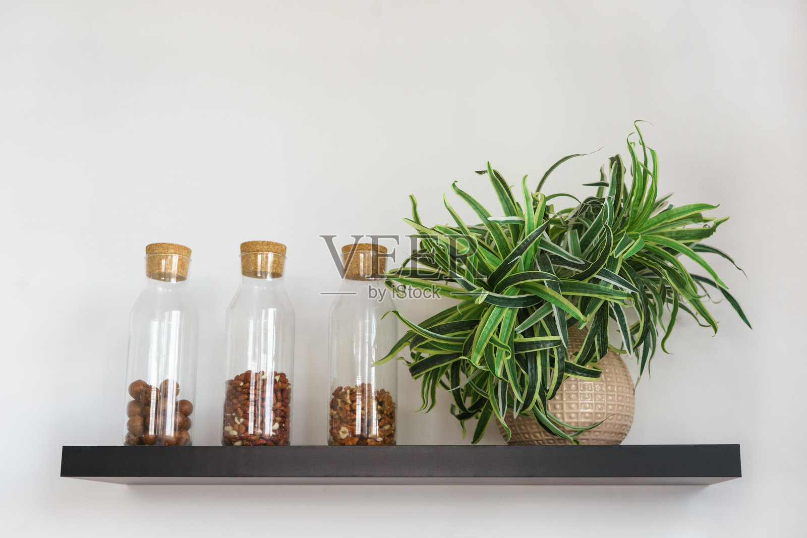 白色背景下黑色木架上的玻璃罐中的坚果和种子，以及盆栽绿植照片摄影图片