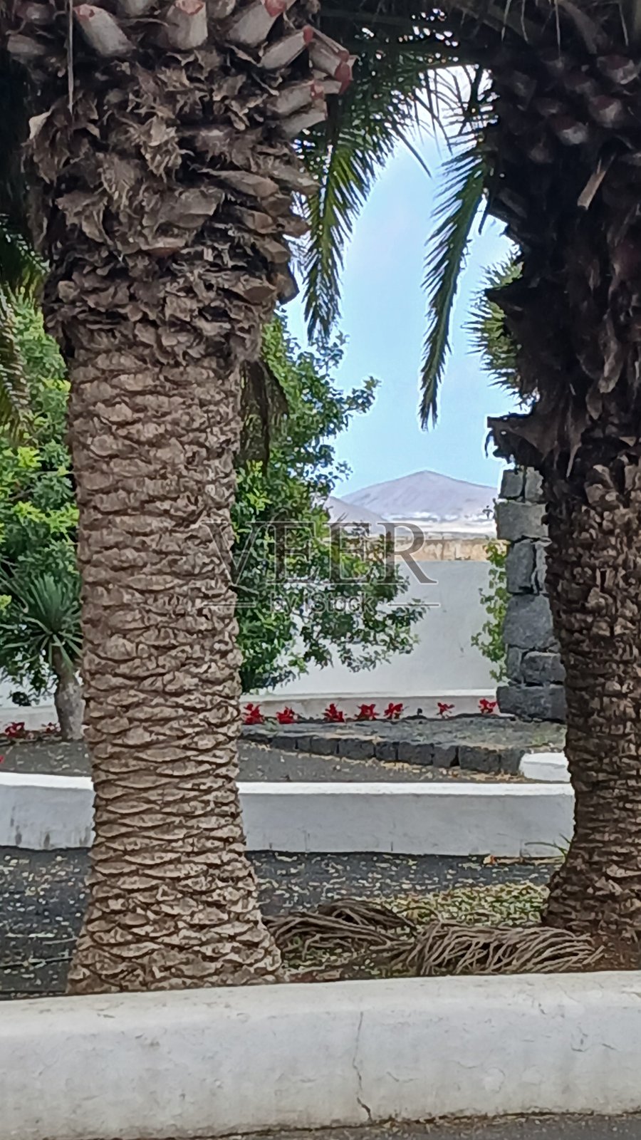 查看照片摄影图片