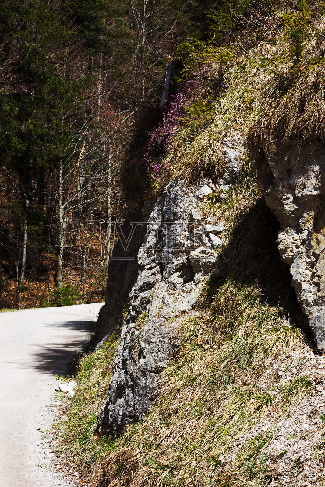 在Walleralm附近的岩石草坡旁的小径照片摄影图片