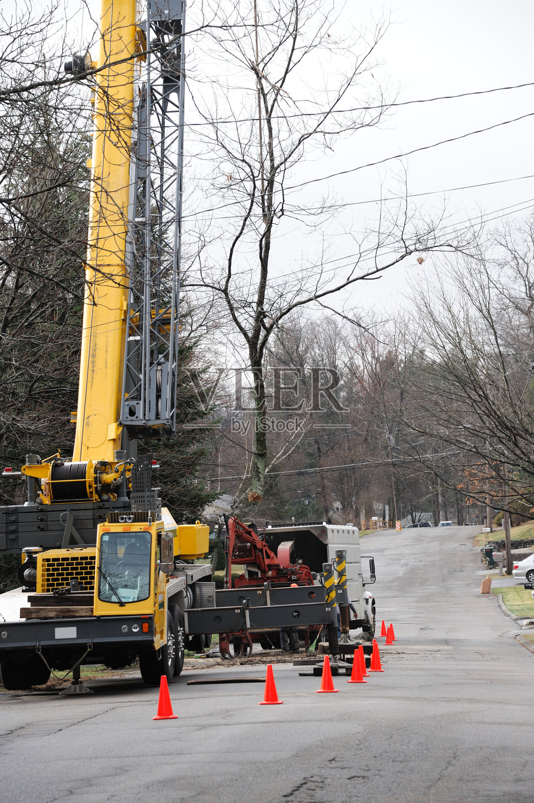 在住宅区内进行树木移除的设备和工人照片摄影图片