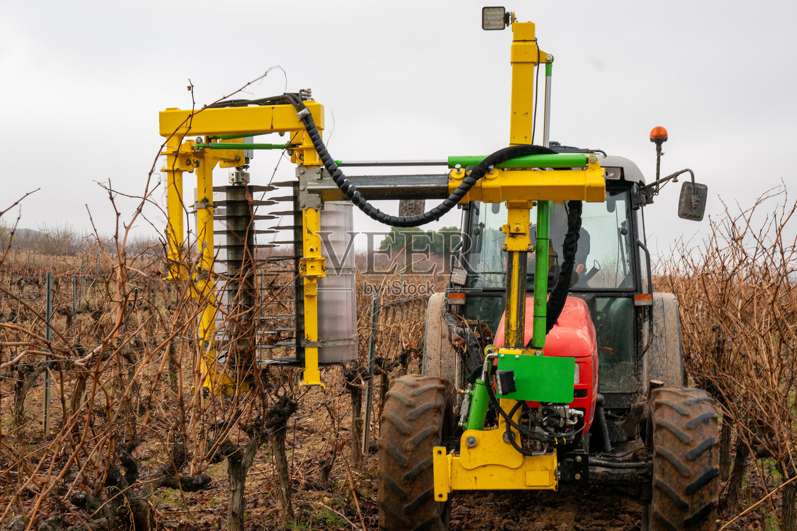 拖拉机在葡萄园中修剪藤蔓芽照片摄影图片