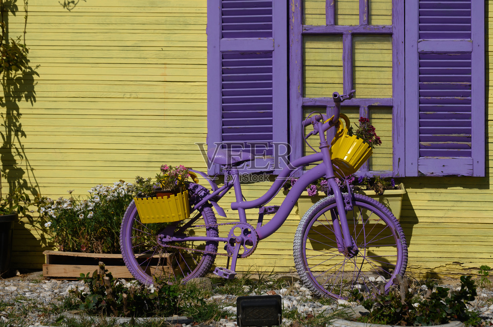 色彩鲜艳的自行车装饰着花篮，背景是一面生动的黄色墙壁，置身于一个奇幻的花园中。照片摄影图片