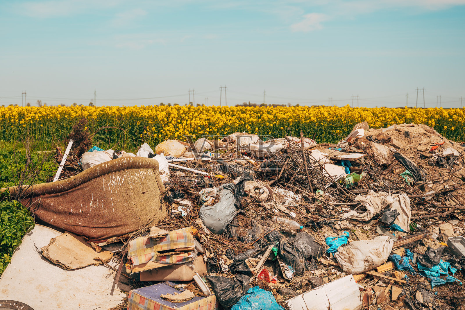 在种植的油菜花田中非法倾倒垃圾照片摄影图片