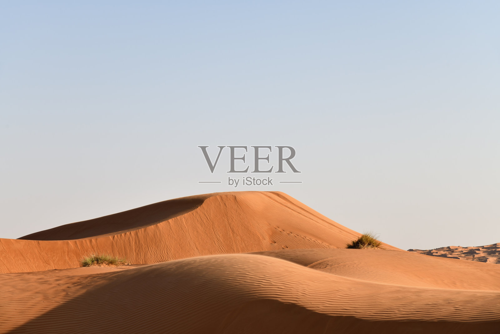 鲁卜哈利沙漠的沙丘。瓦希巴沙丘。阿曼苏丹国。照片摄影图片