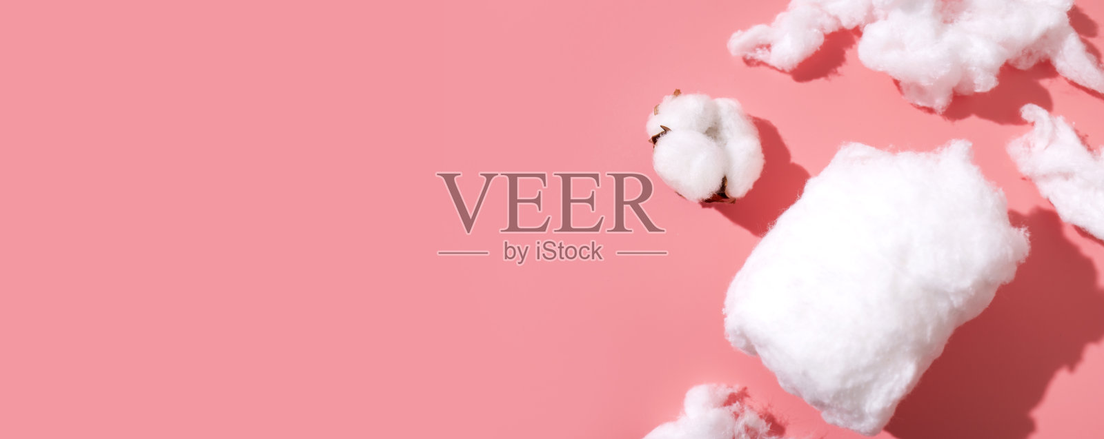 粉色背景上的精致蓬松棉花，俯视图。棉花云，天然环保材料，用于卫生、医学、健康和纺织制造。照片摄影图片