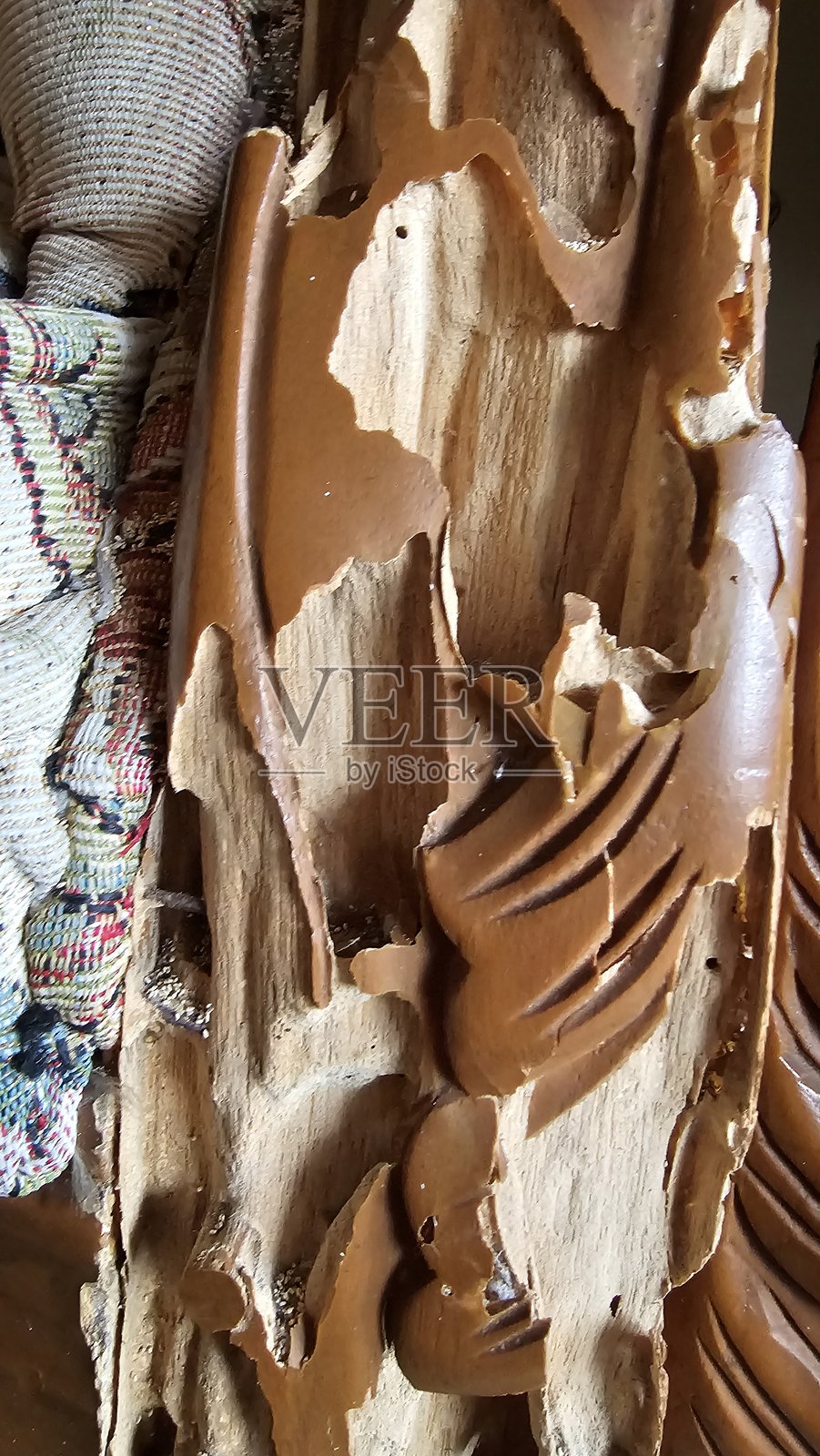 已经脆弱、多孔的沙发椅木材被白蚁侵蚀。照片摄影图片