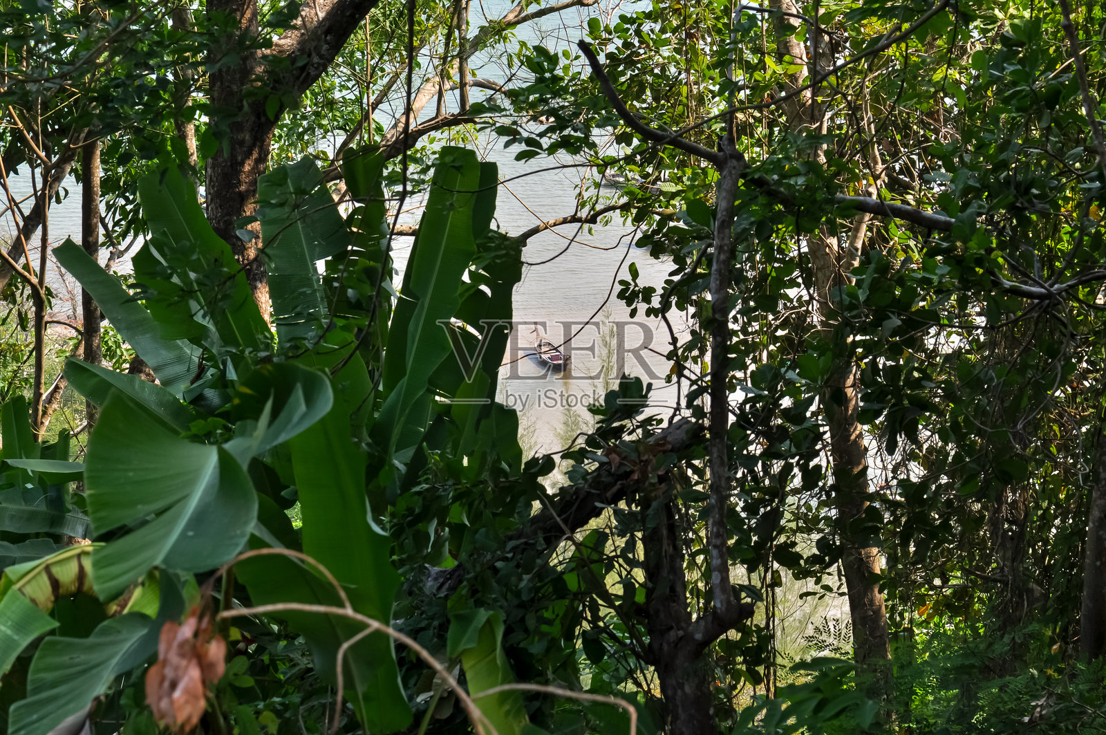 泰国普吉岛海岸上的船只照片摄影图片