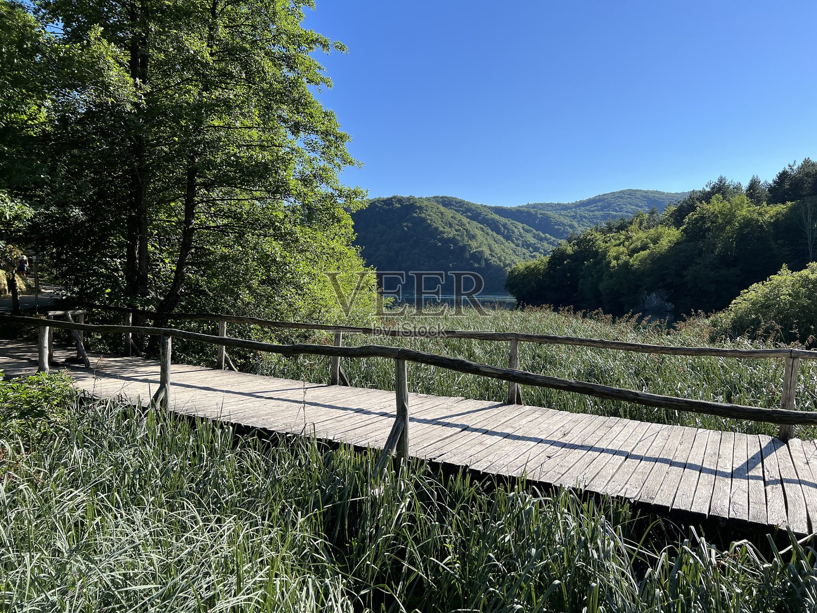 普利特维采湖国家公园的木栈道和小径，沿湖而建，穿过森林 - 克罗地亚普利特维采照片摄影图片