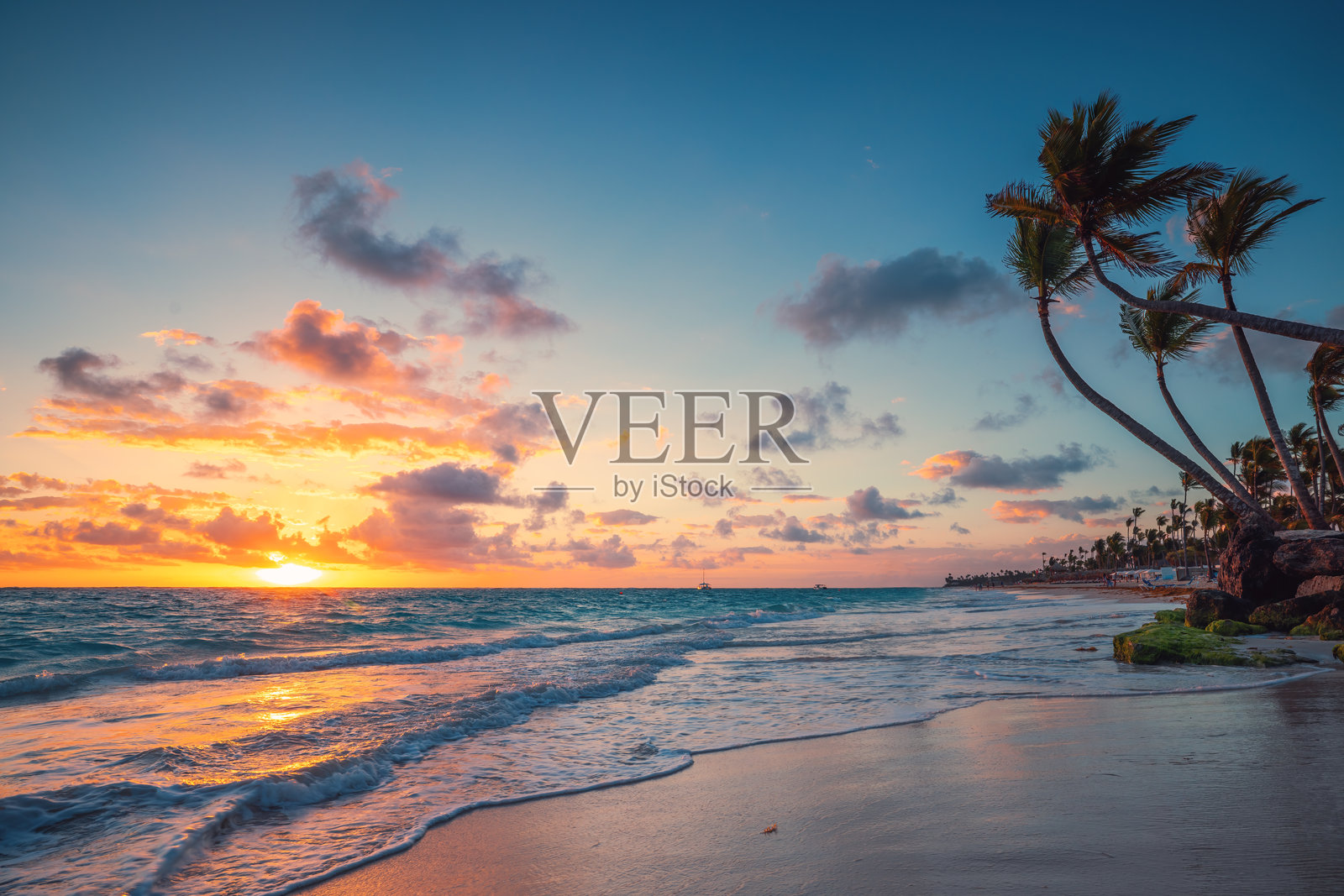 多米尼加共和国蓬塔卡纳的棕榈树和热带海滩照片摄影图片