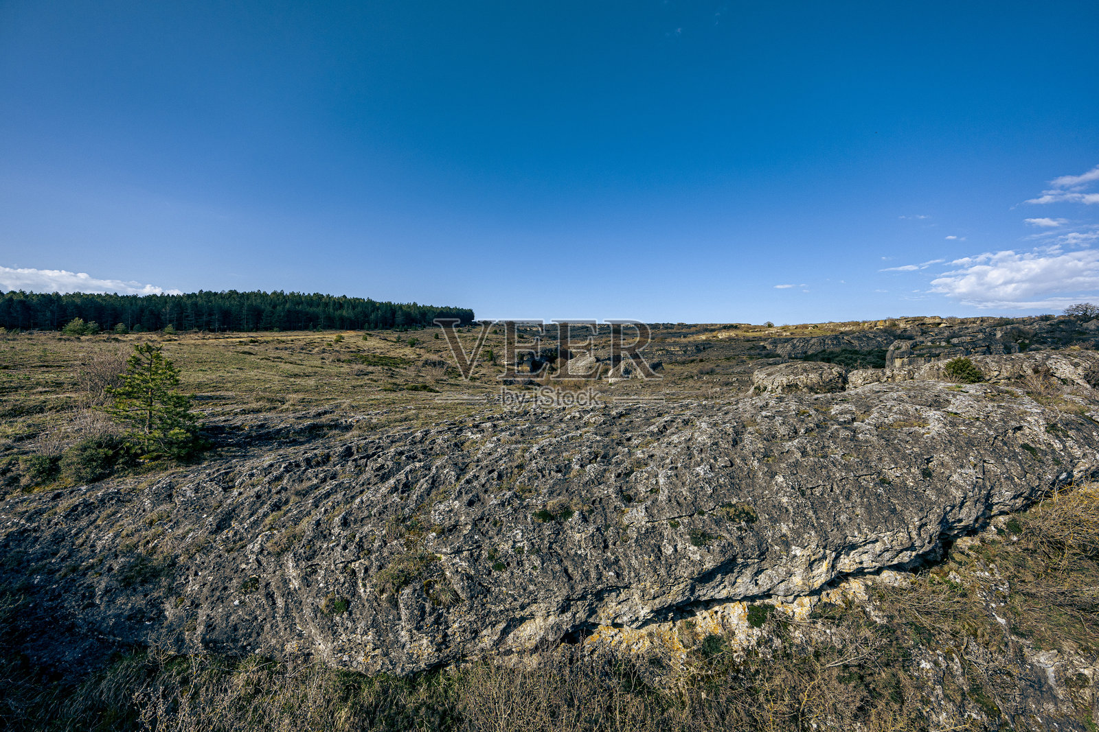 开放的岩石田野与森林地平线照片摄影图片