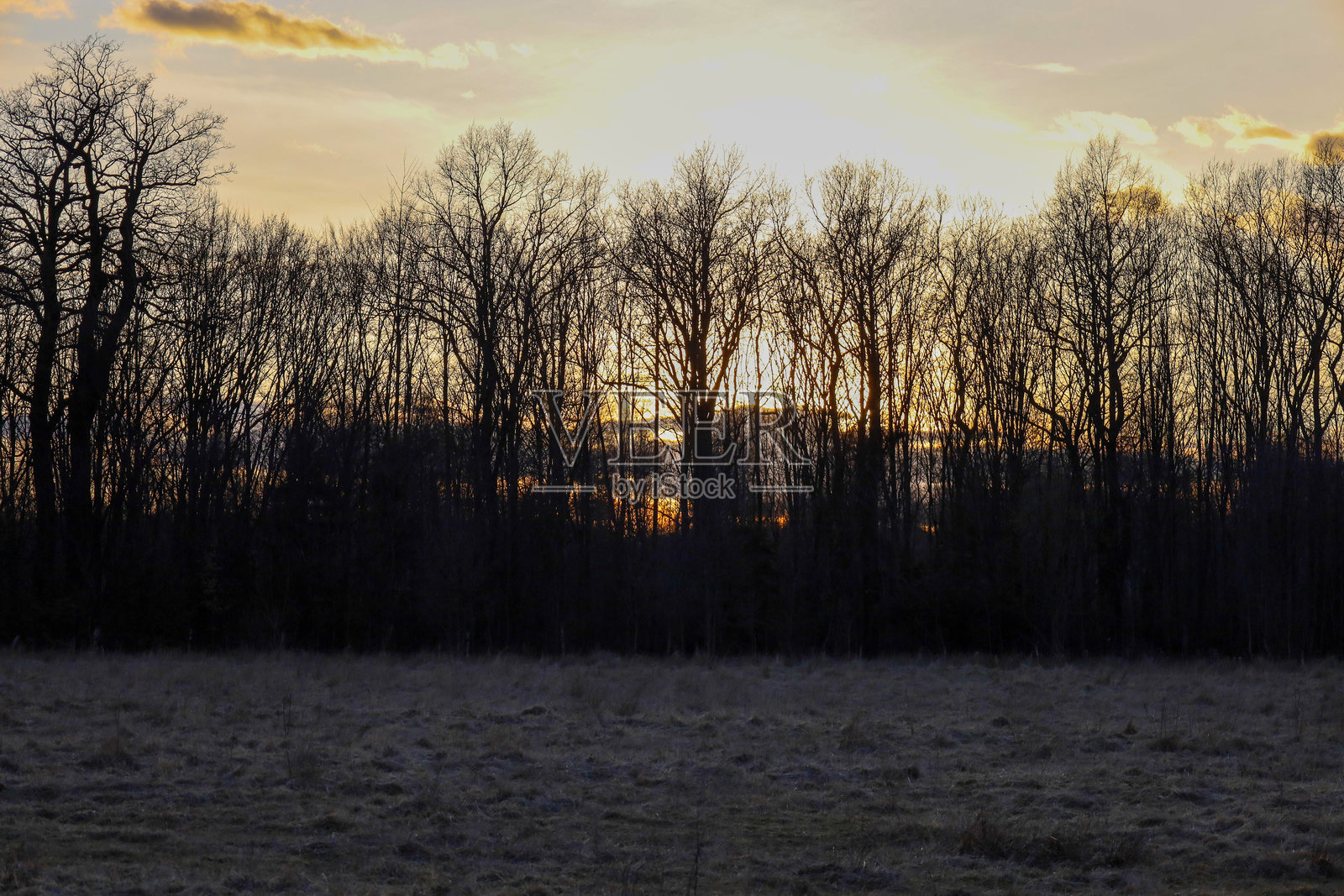 乌克兰春初日落时分宁静的田野风景。前景中可见一片枯萎的黑色草地。照片摄影图片