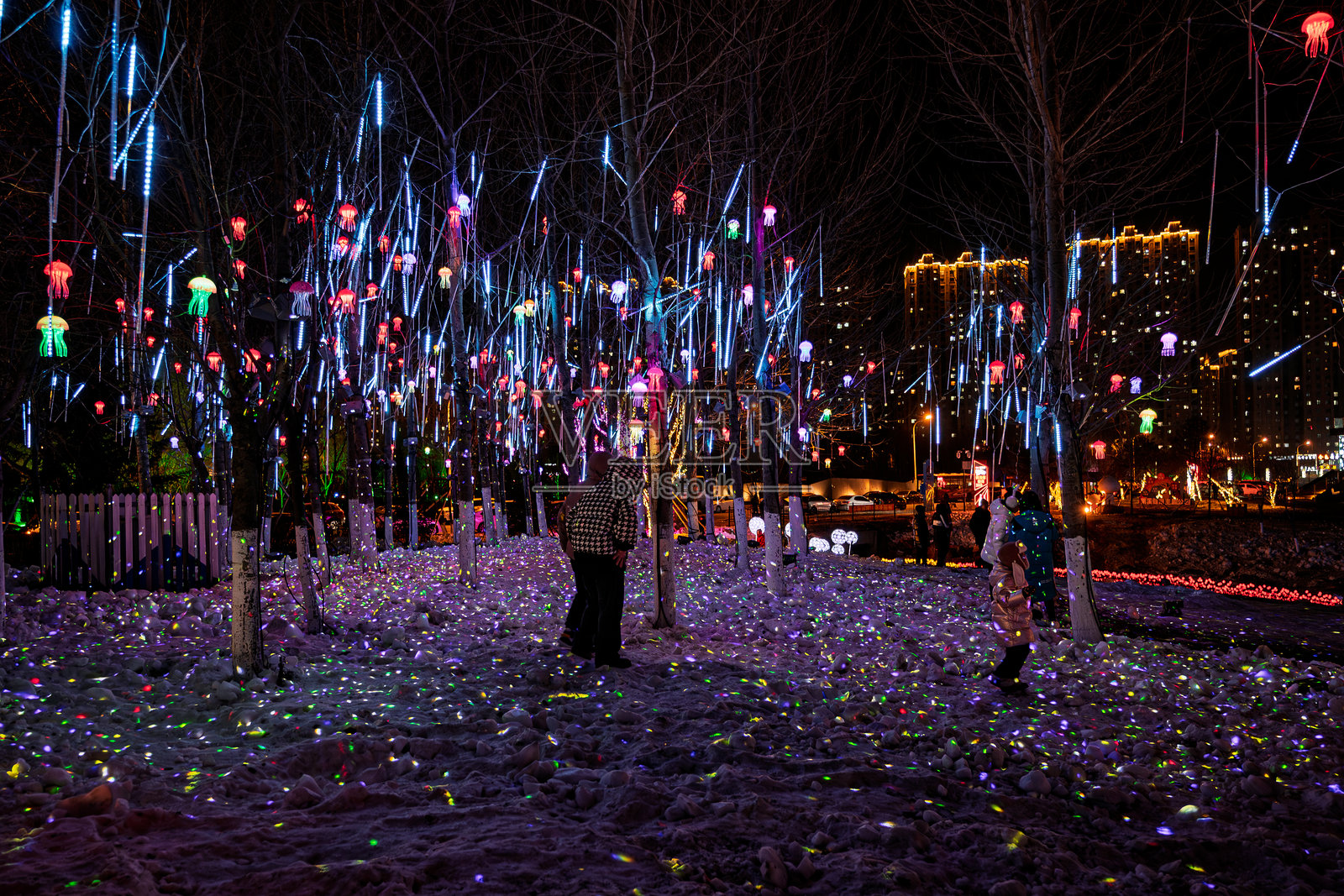 中国长春：欢迎新年，南溪湿地公园的冰冻玫瑰和五彩灯光备受欢迎照片摄影图片