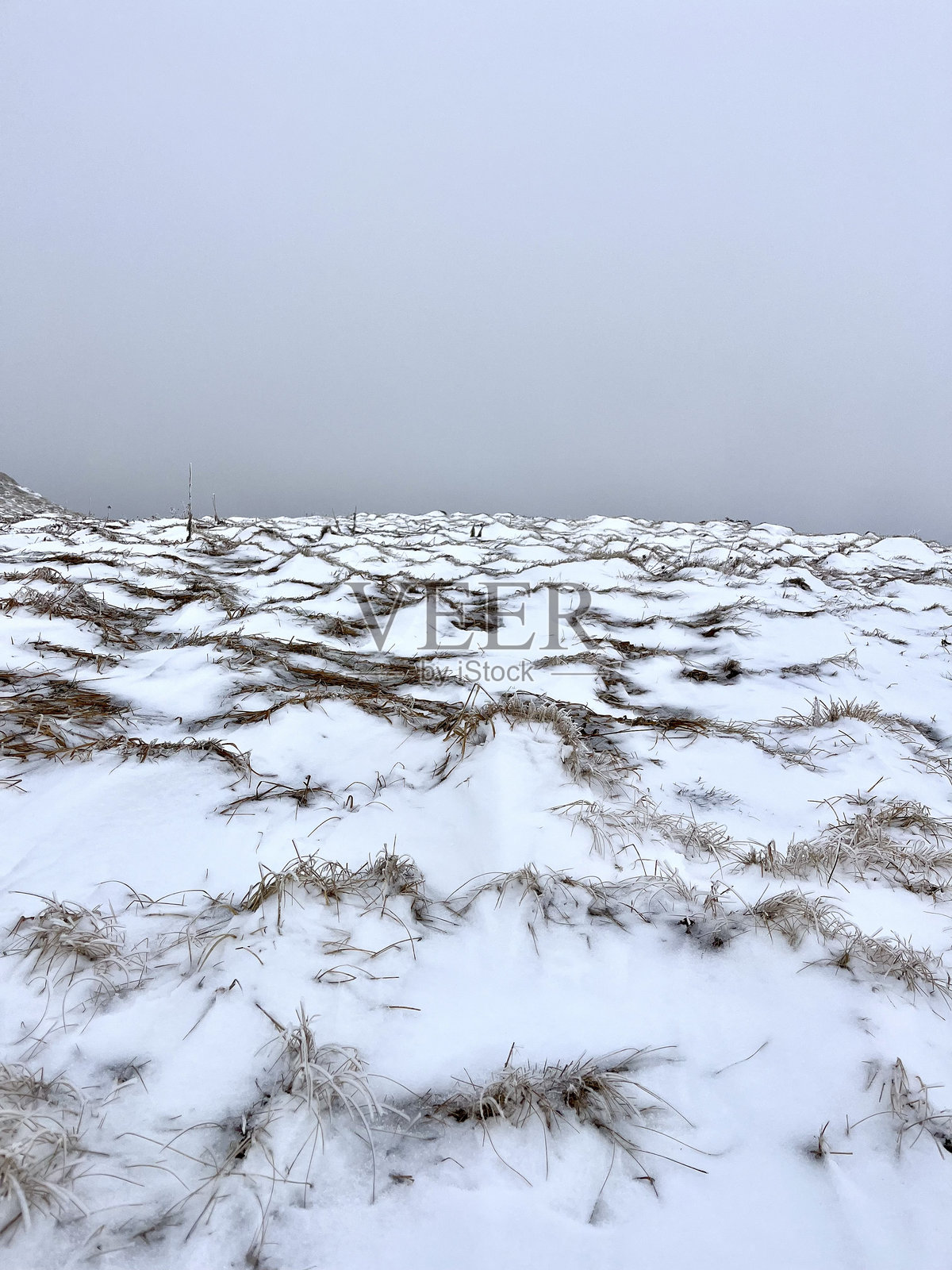秋天的雾中，冰冻的草与冰冻的土地照片摄影图片