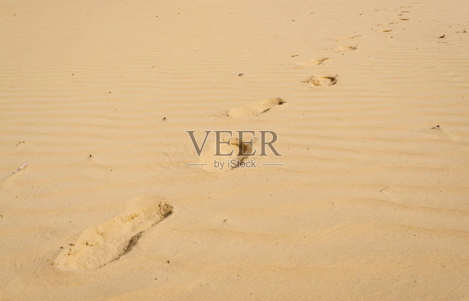 缅因州沙漠的阴天照片摄影图片