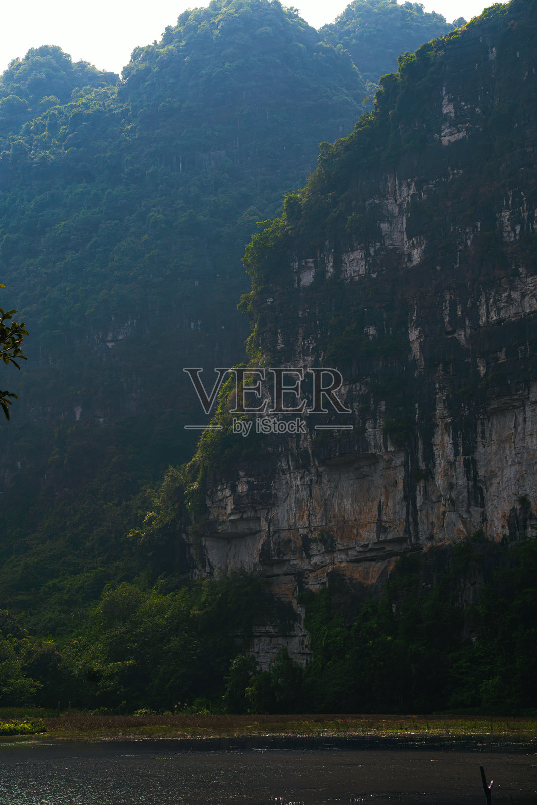 宁平Hoa Lu河边被绿色植被覆盖的石灰岩悬崖。照片摄影图片