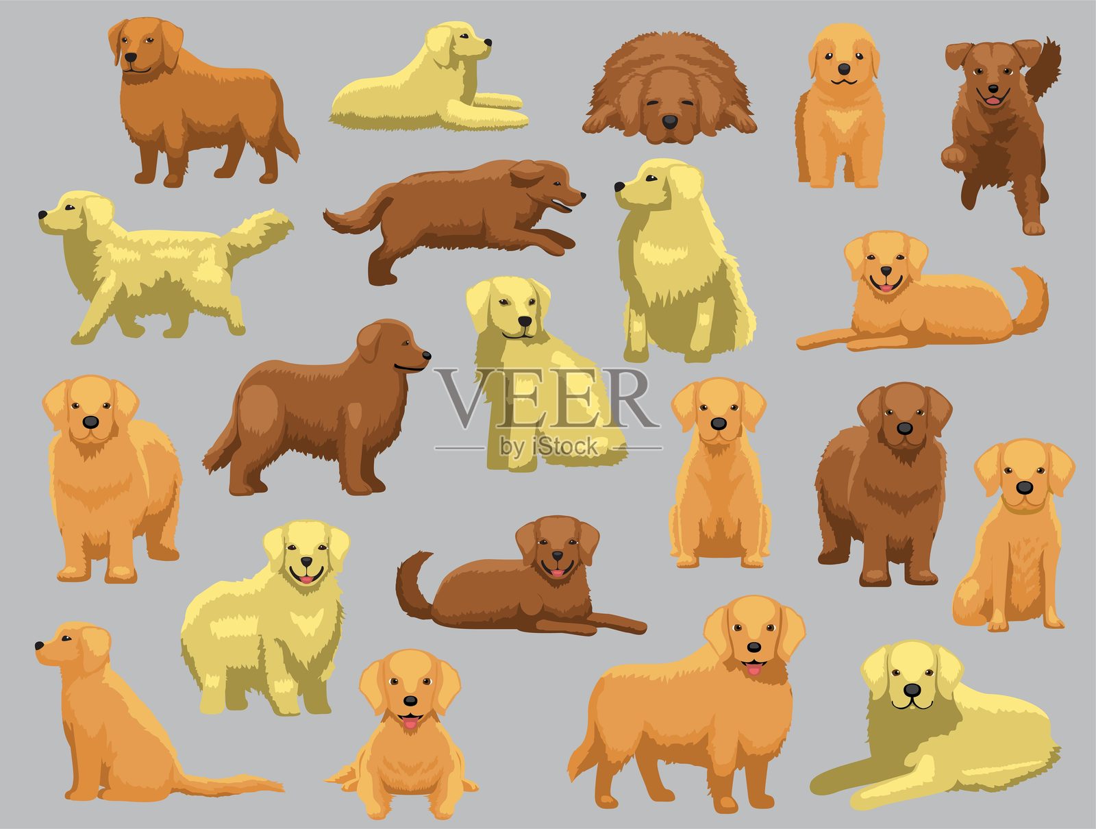 金毛猎犬各种颜色姿势的卡通矢量角色插画图片素材