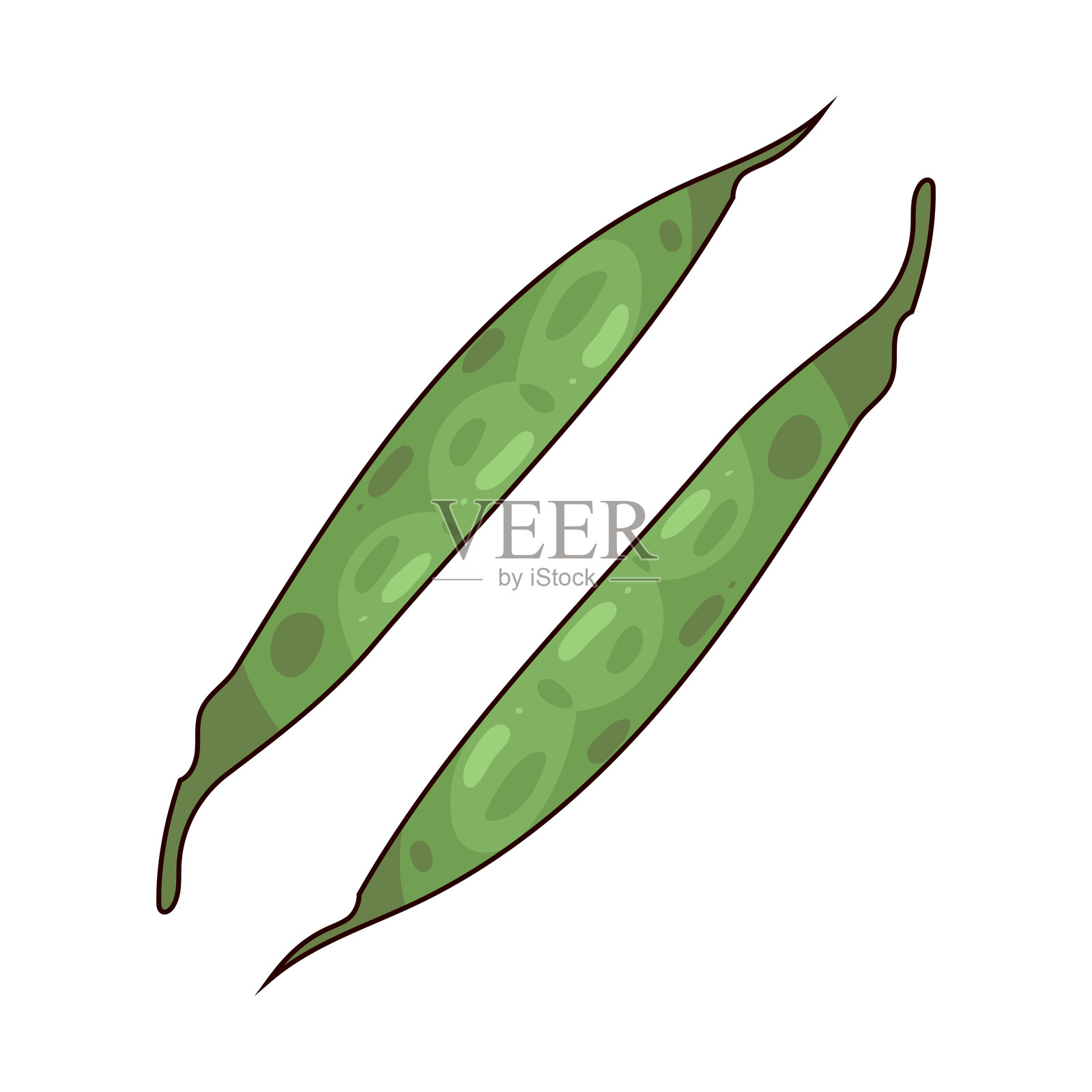 蛇瓜插画图片素材