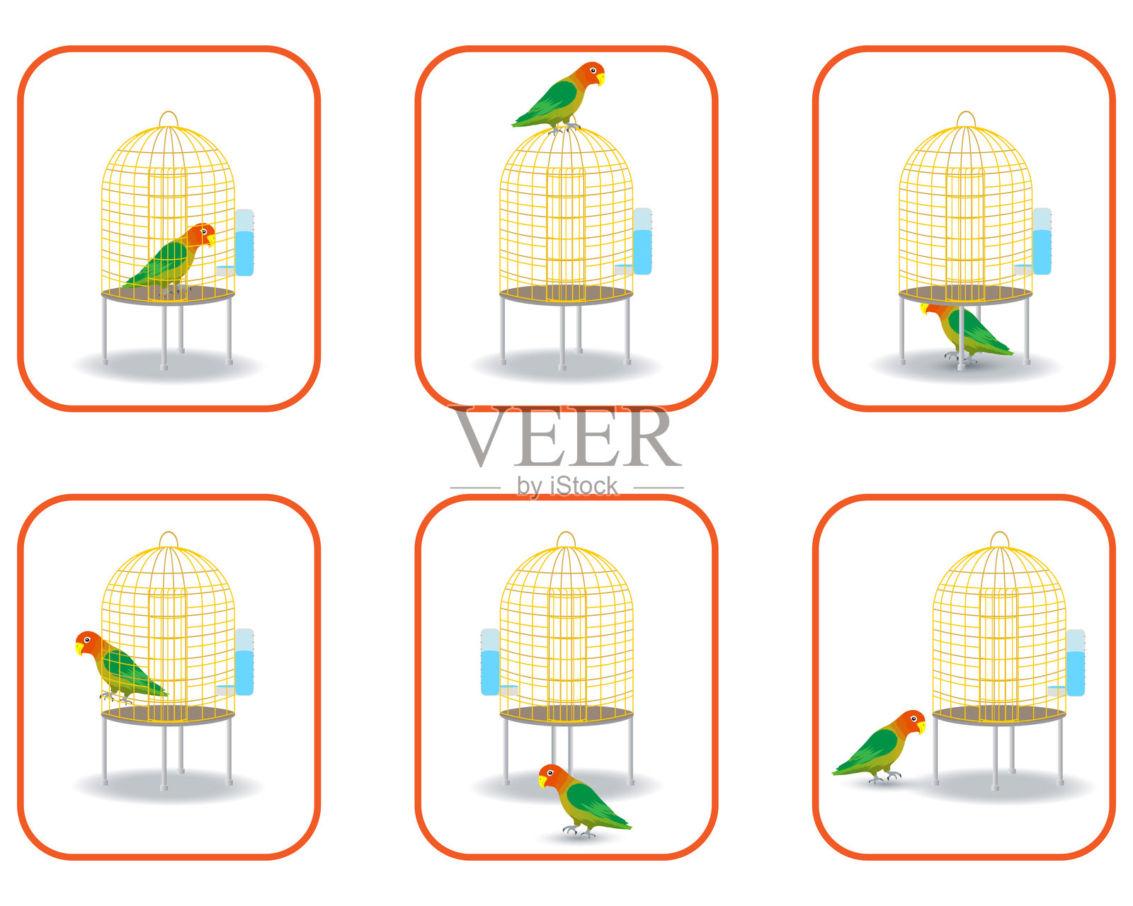 鹦鹉相对于鸟笼的位置插画图片素材