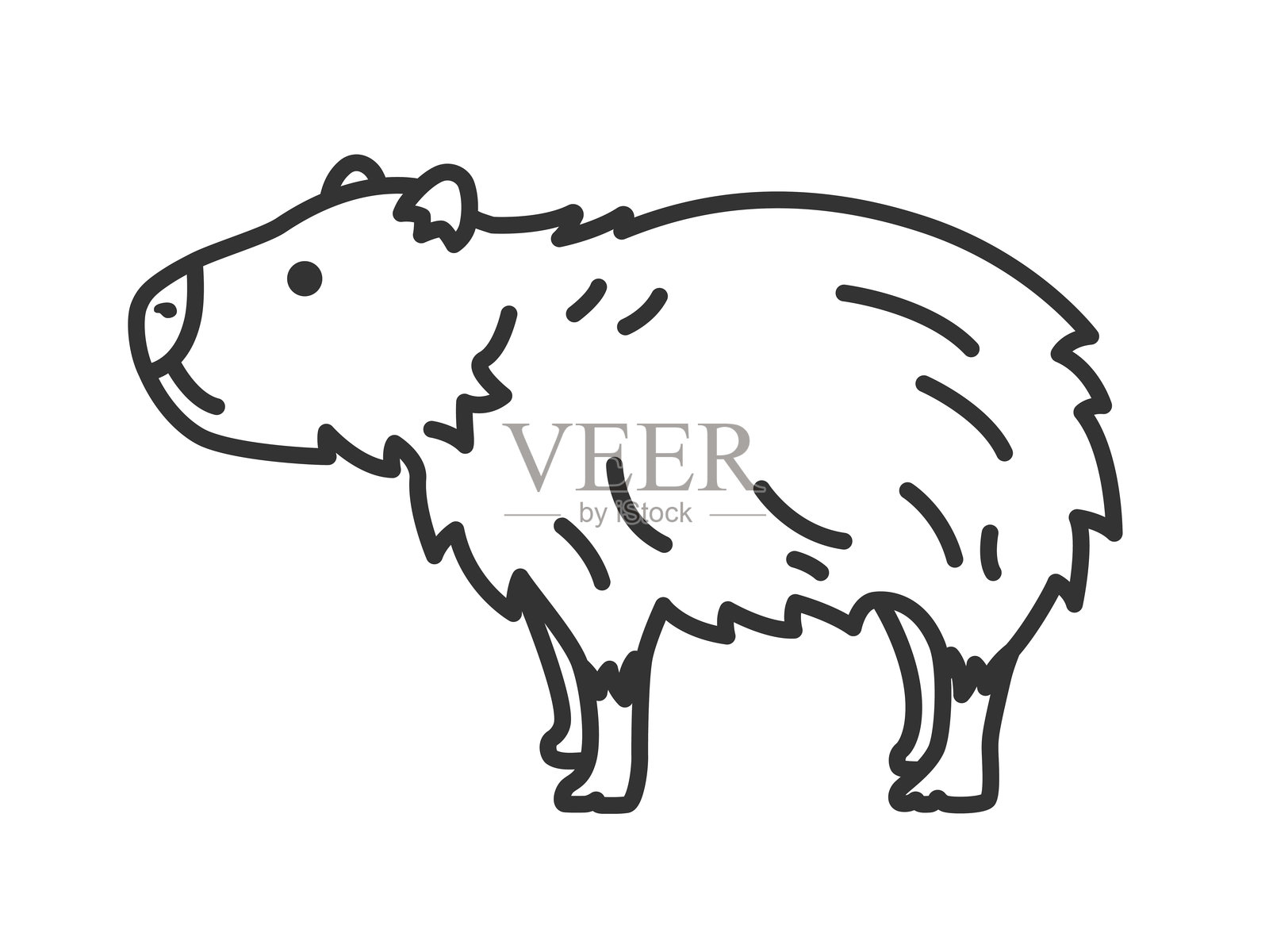 水豚的插图（线条画）。插画图片素材