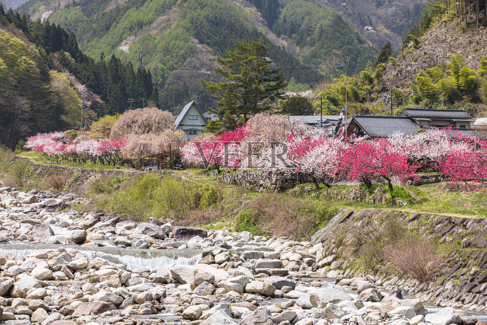 桃花村，阿智村，长野县照片摄影图片