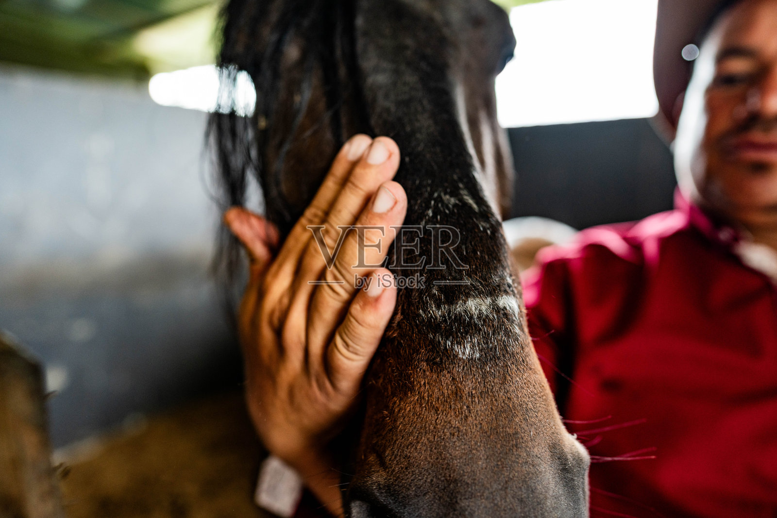 农场里一个男人在抚摸他的马的特写镜头照片摄影图片