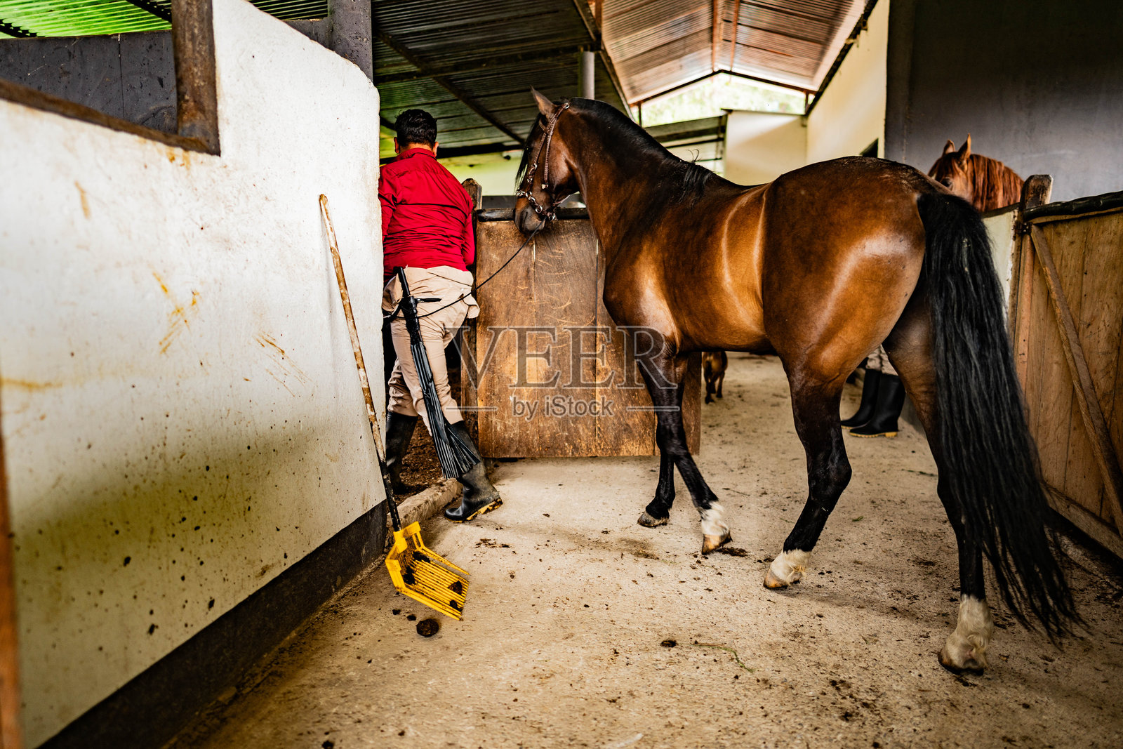 成熟的农夫在马厩里抱着他的马照片摄影图片