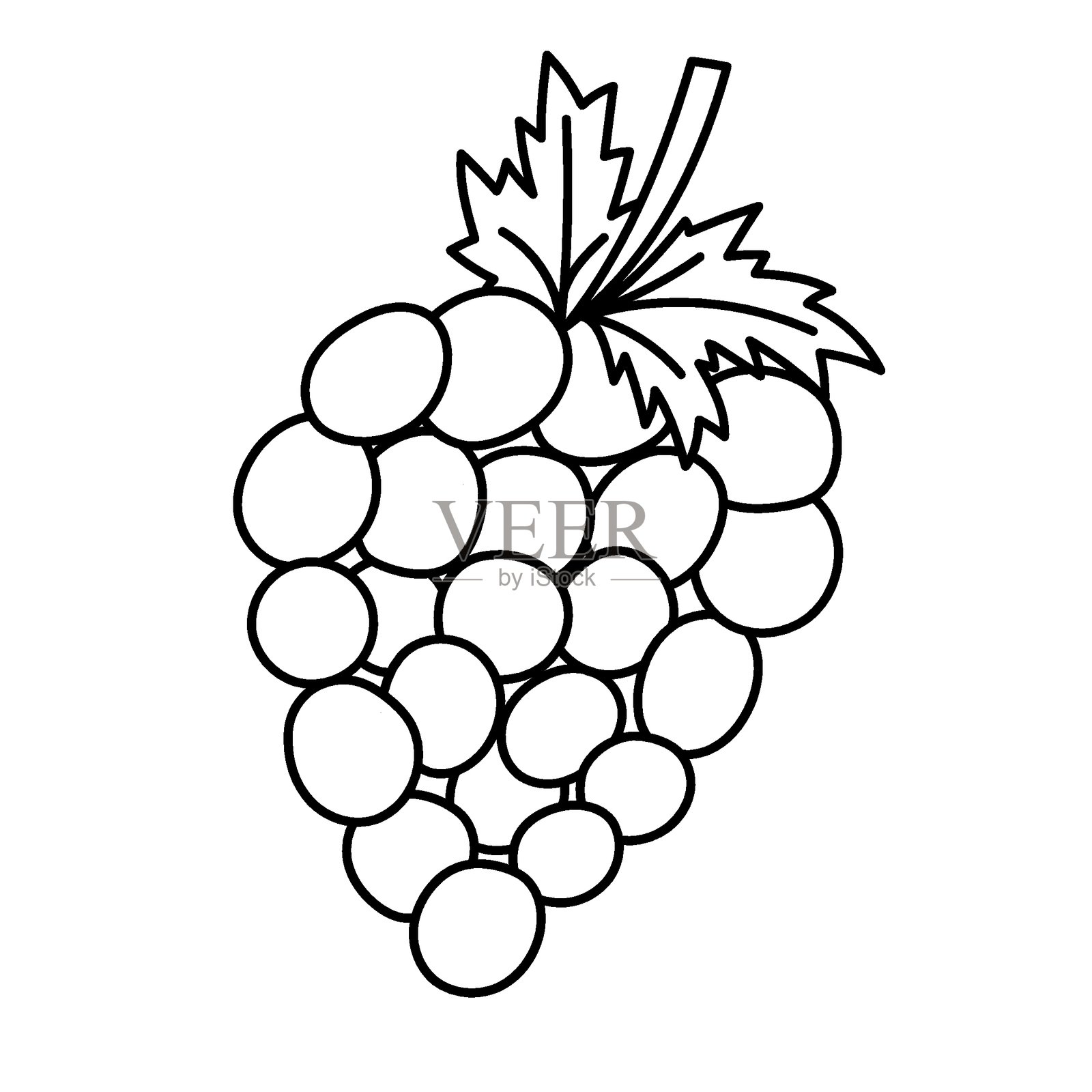 可爱的线条涂鸦，描绘了一串葡萄果实和叶子。手绘的藤蔓象征着秋季丰收，背景为白色。适合用于贺卡、包装和餐厅菜单的多汁水果。插画图片素材