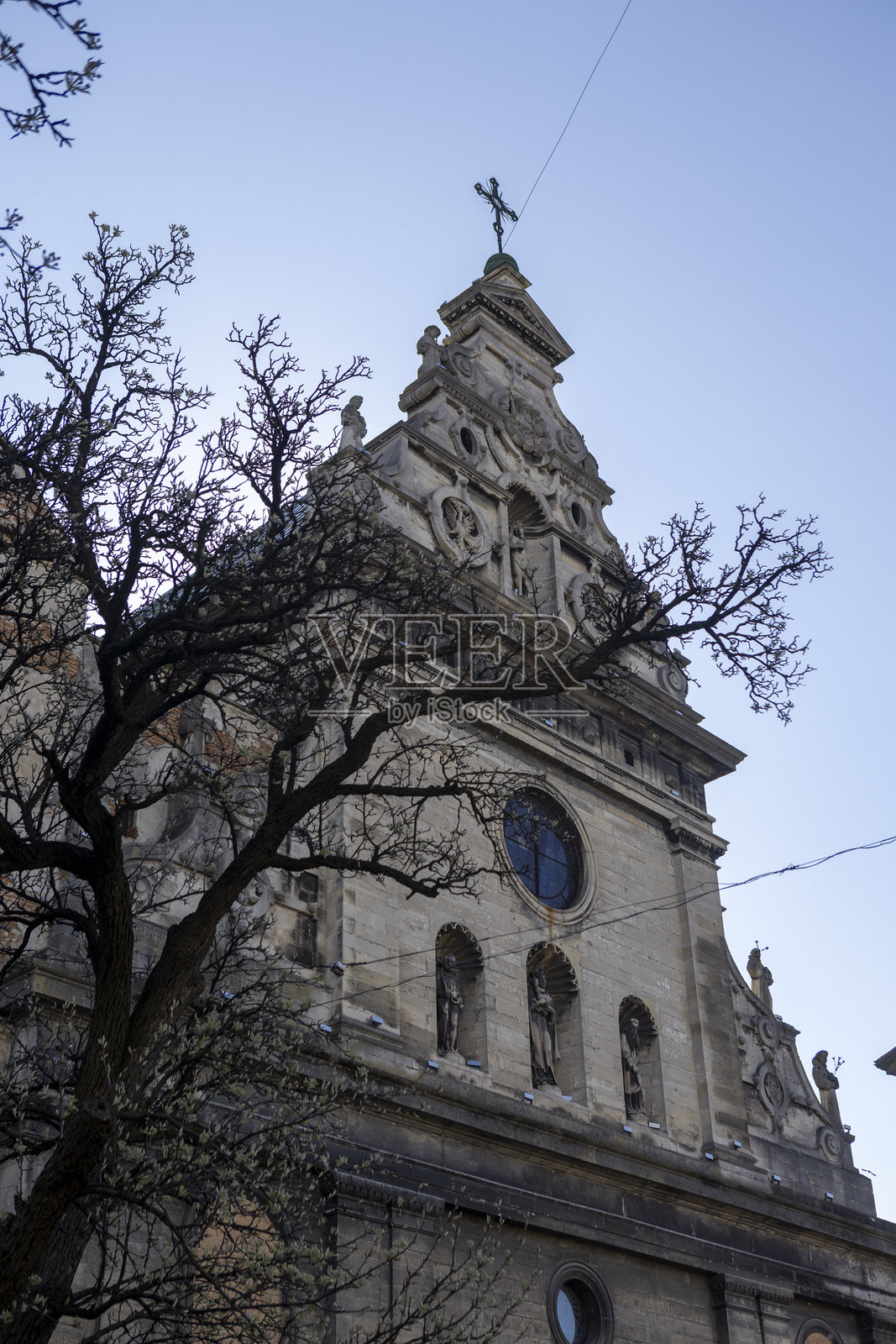 利沃夫的古老教堂和树木照片摄影图片