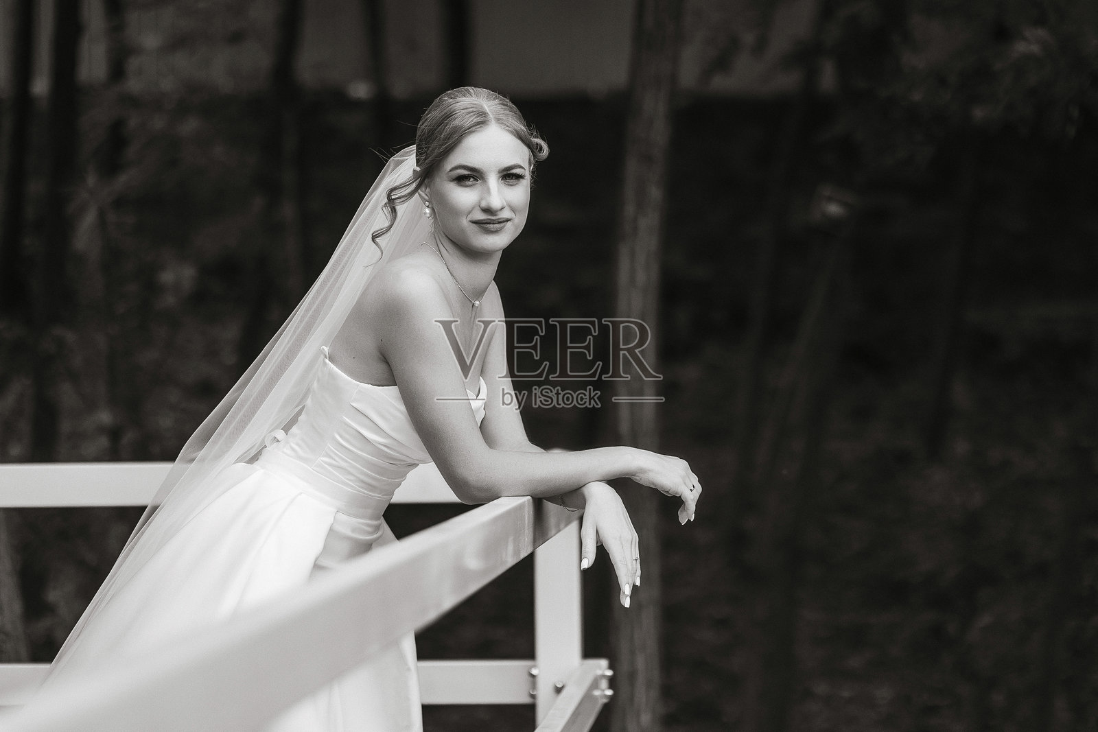 新娘背对着镜头站在桥上照片摄影图片