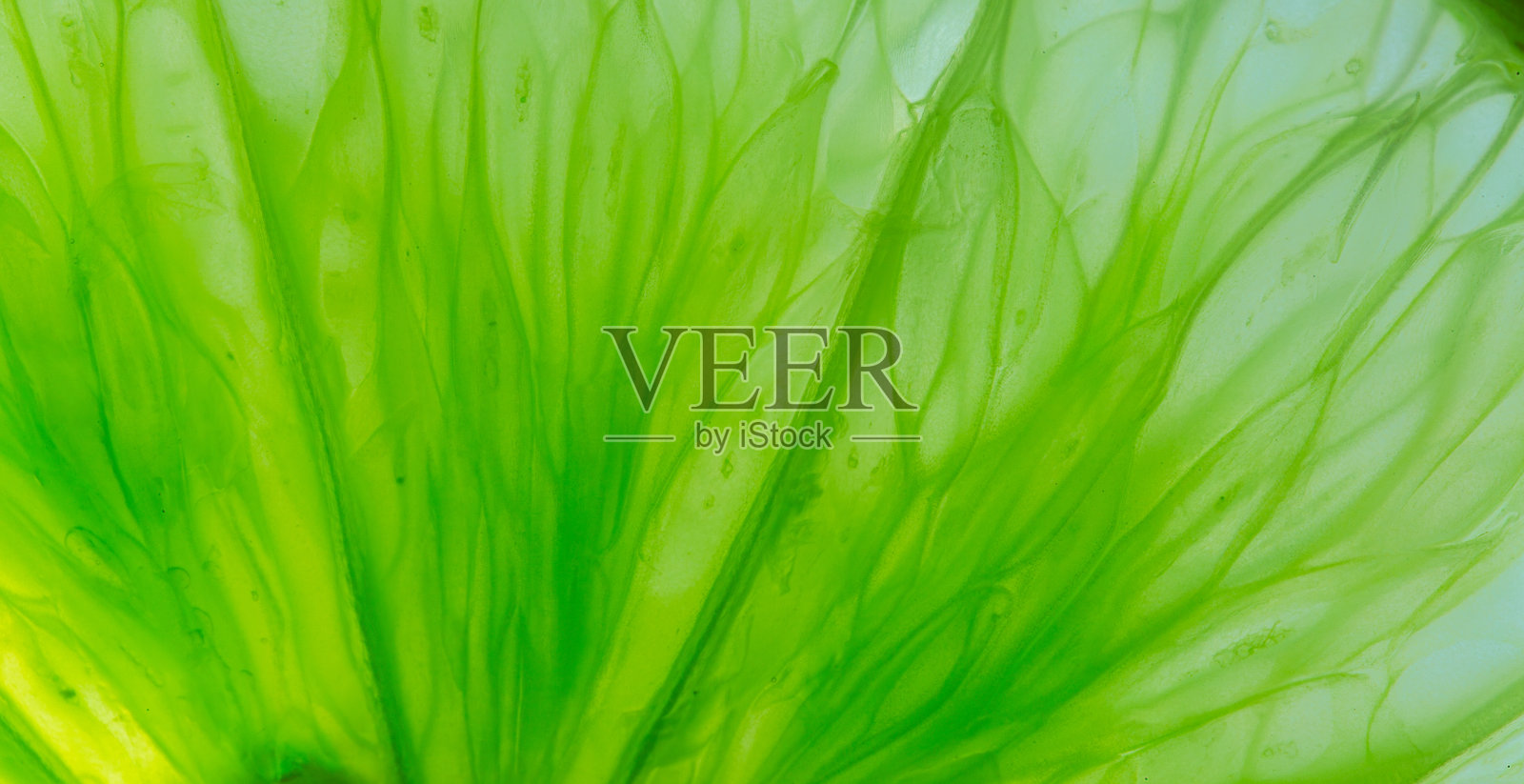 柠檬纹理特写，柠檬纹理的特写镜头，柠檬纹理，鲜嫩青柠的表面特写纹理照片摄影图片