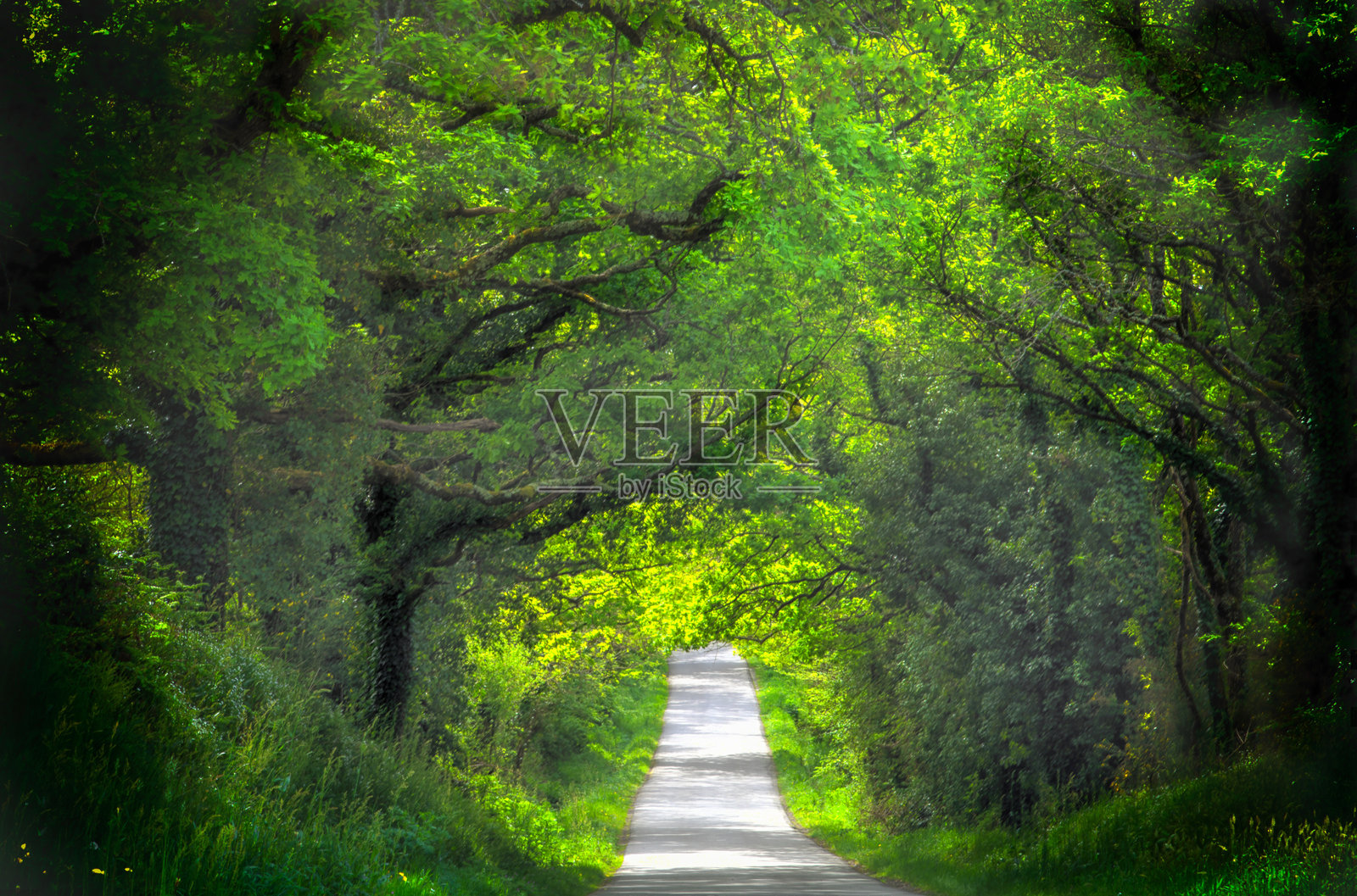 一种绿色的方式照片摄影图片