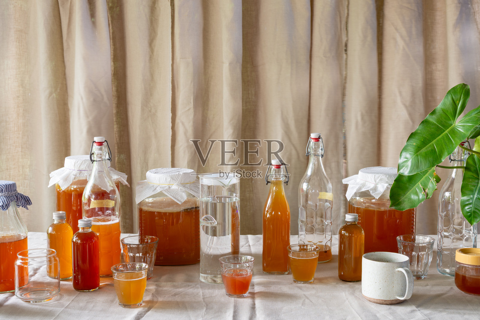 餐桌上摆放着瓶子、罐子和杯子，里面是康普茶，发酵茶饮品有助于肠道健康。照片摄影图片