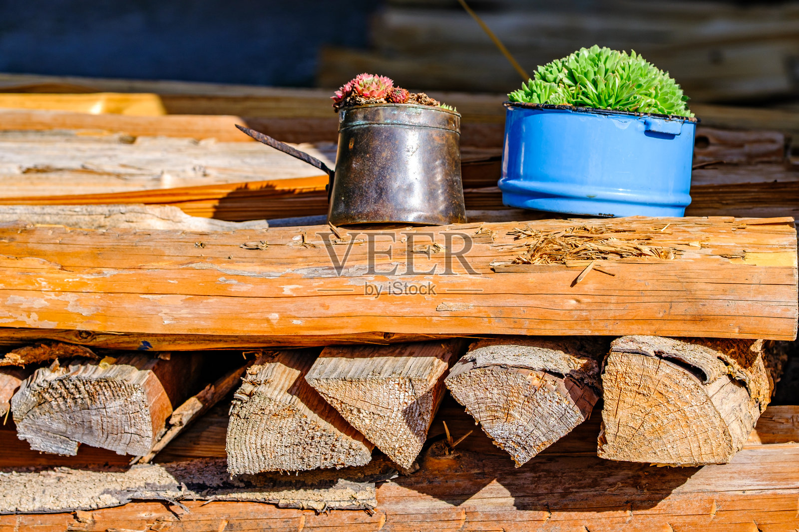 乡村风格的木质背景，配有盆栽植物、浇水壶和自然阳光照亮户外的布置照片摄影图片