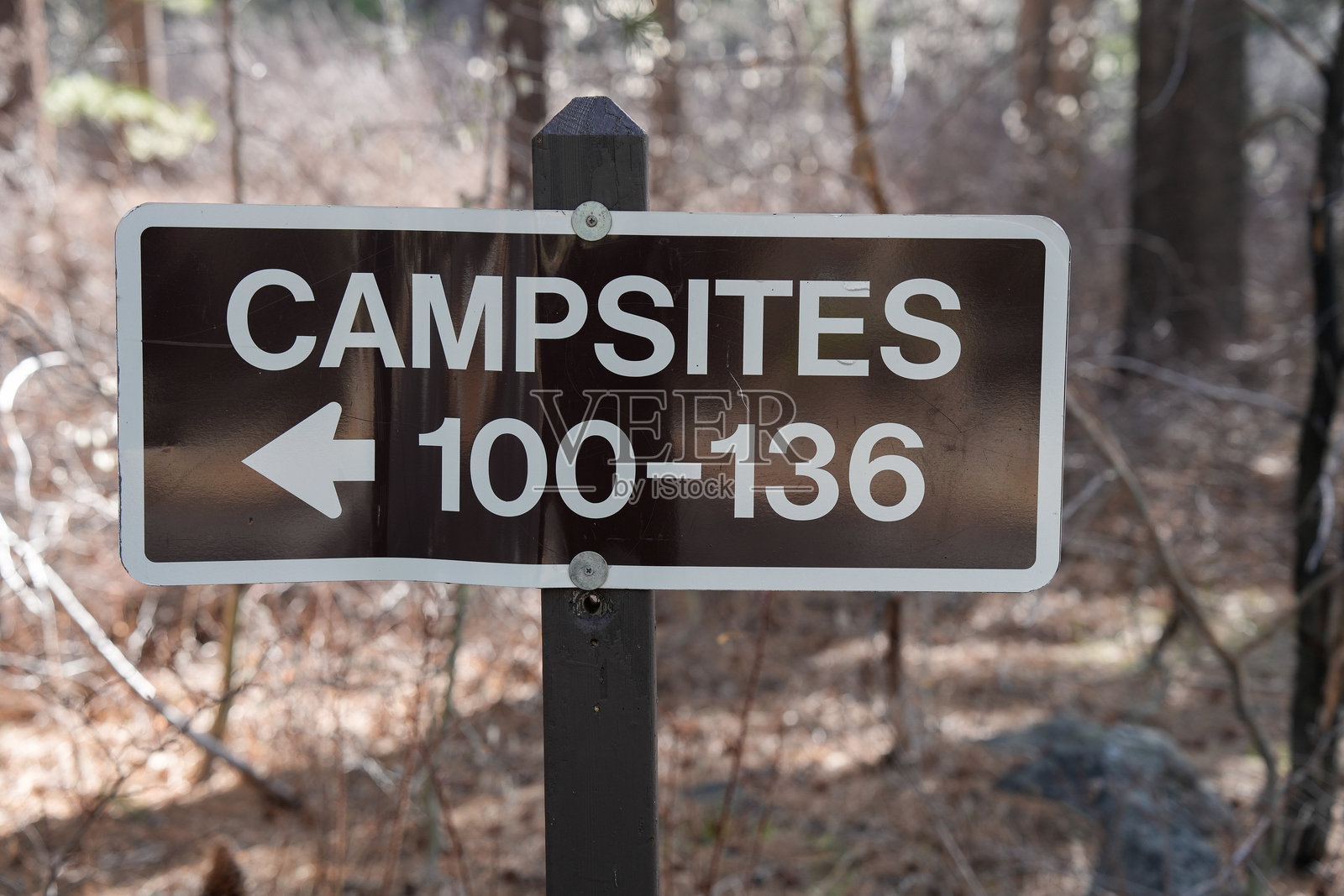 森林中的露营地方向标志和数字照片摄影图片